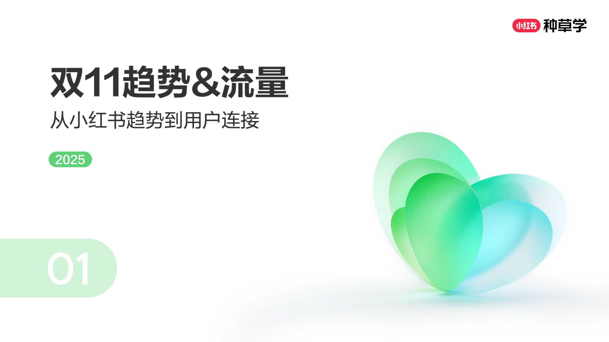 双11小红书「大家电&家具建材」行业直播材料.pdf