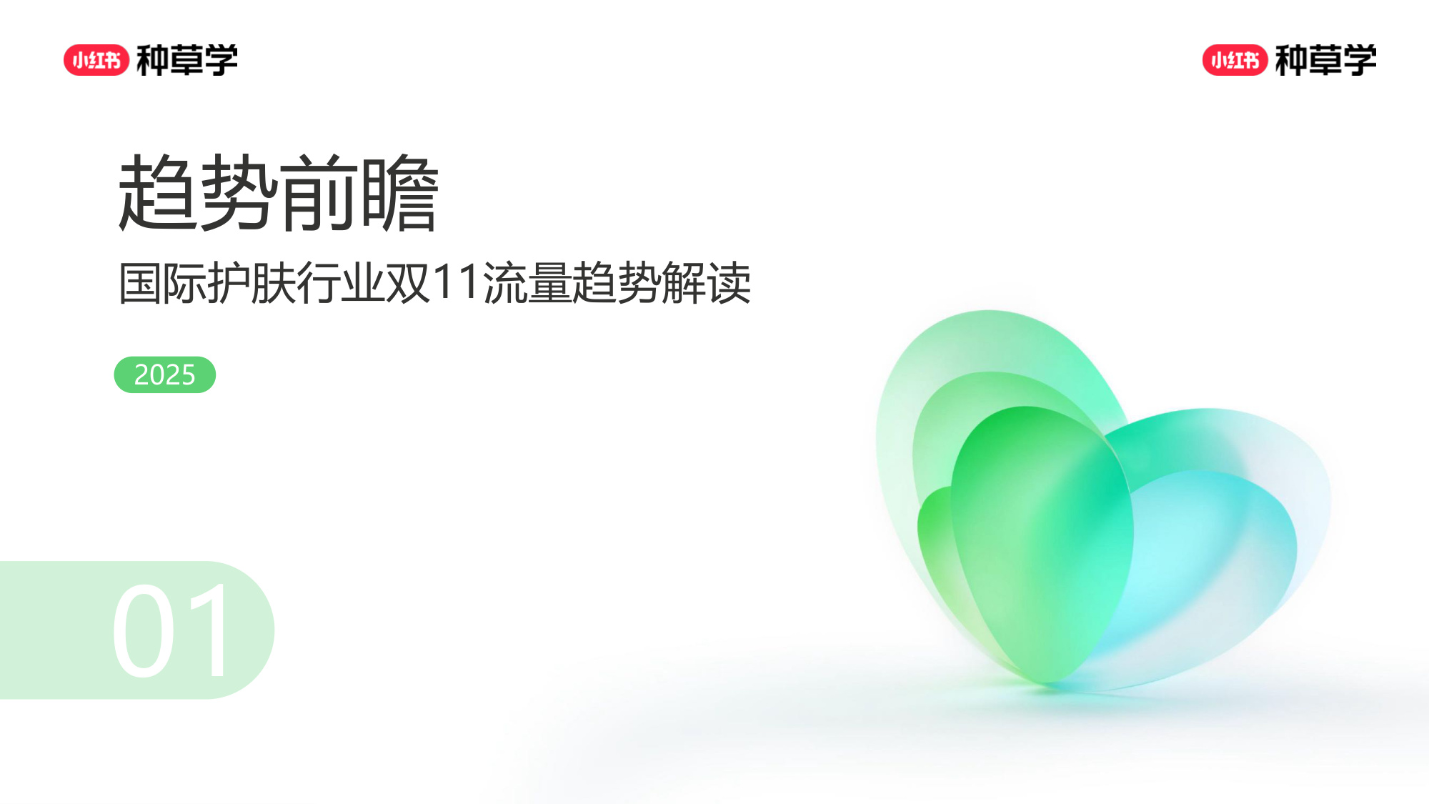 双11小红书「国际护肤」赛道直播材料.pdf