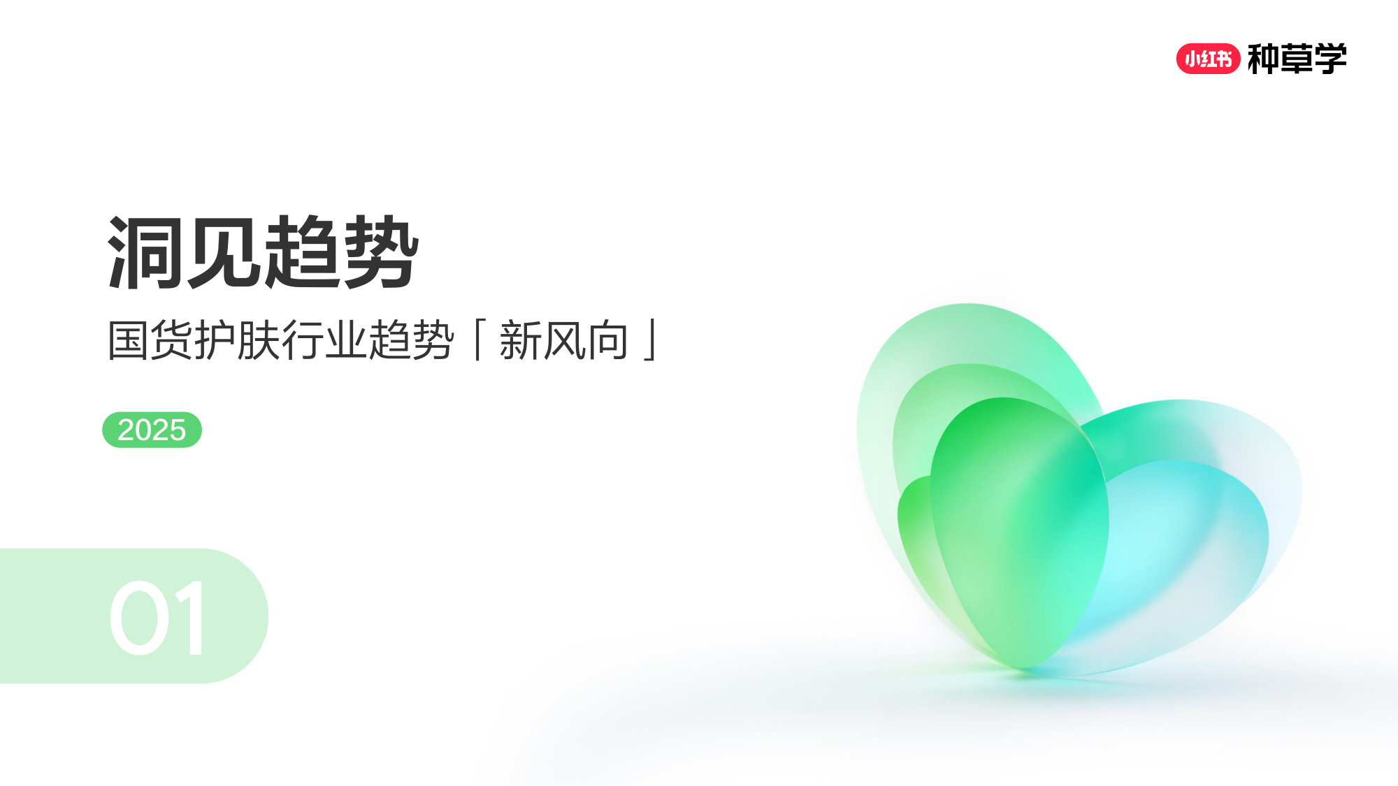 双11小红书「国货护肤」赛道直播材料.pdf