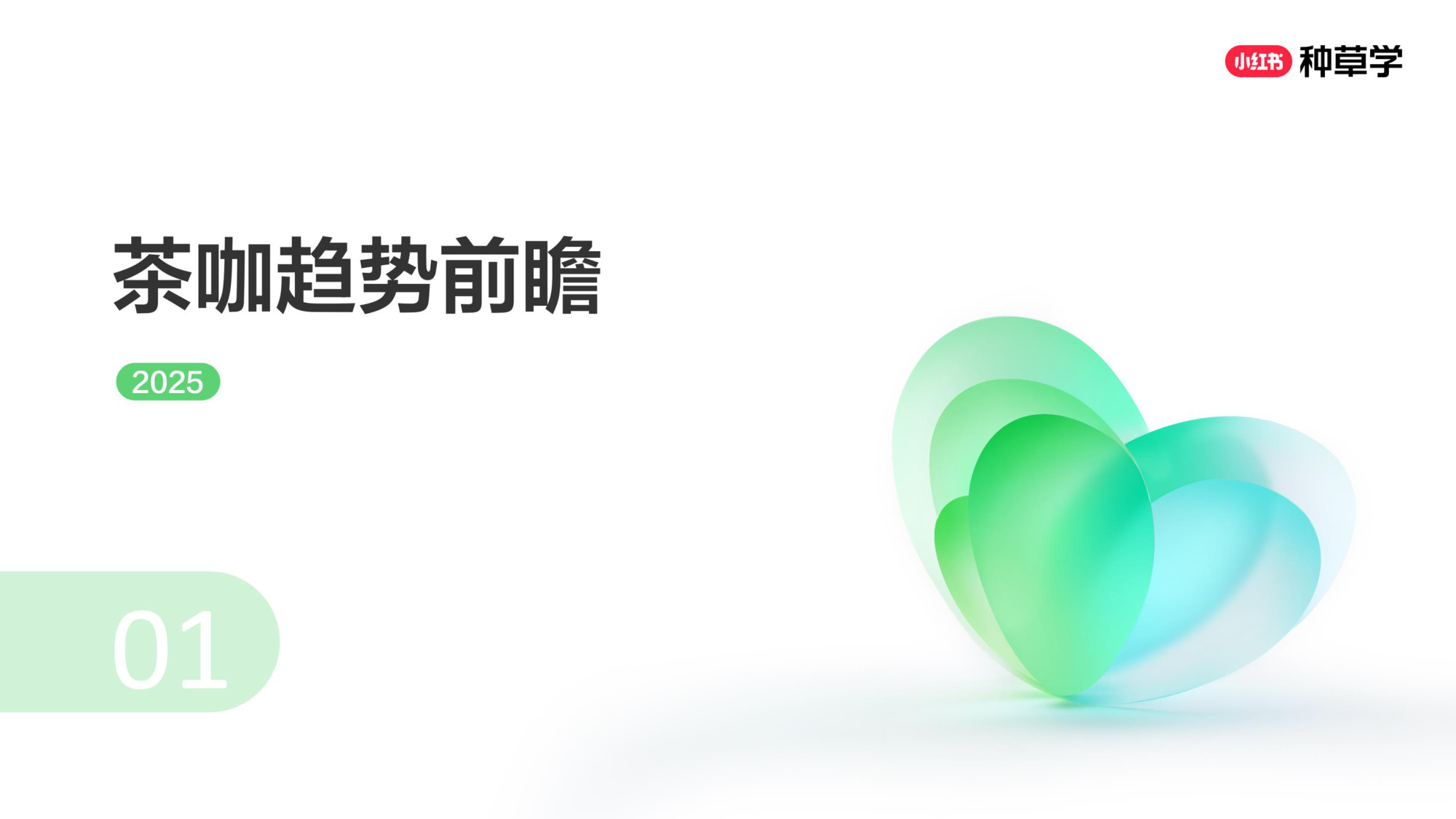 双11小红书「酒饮」行业直播材料.pdf