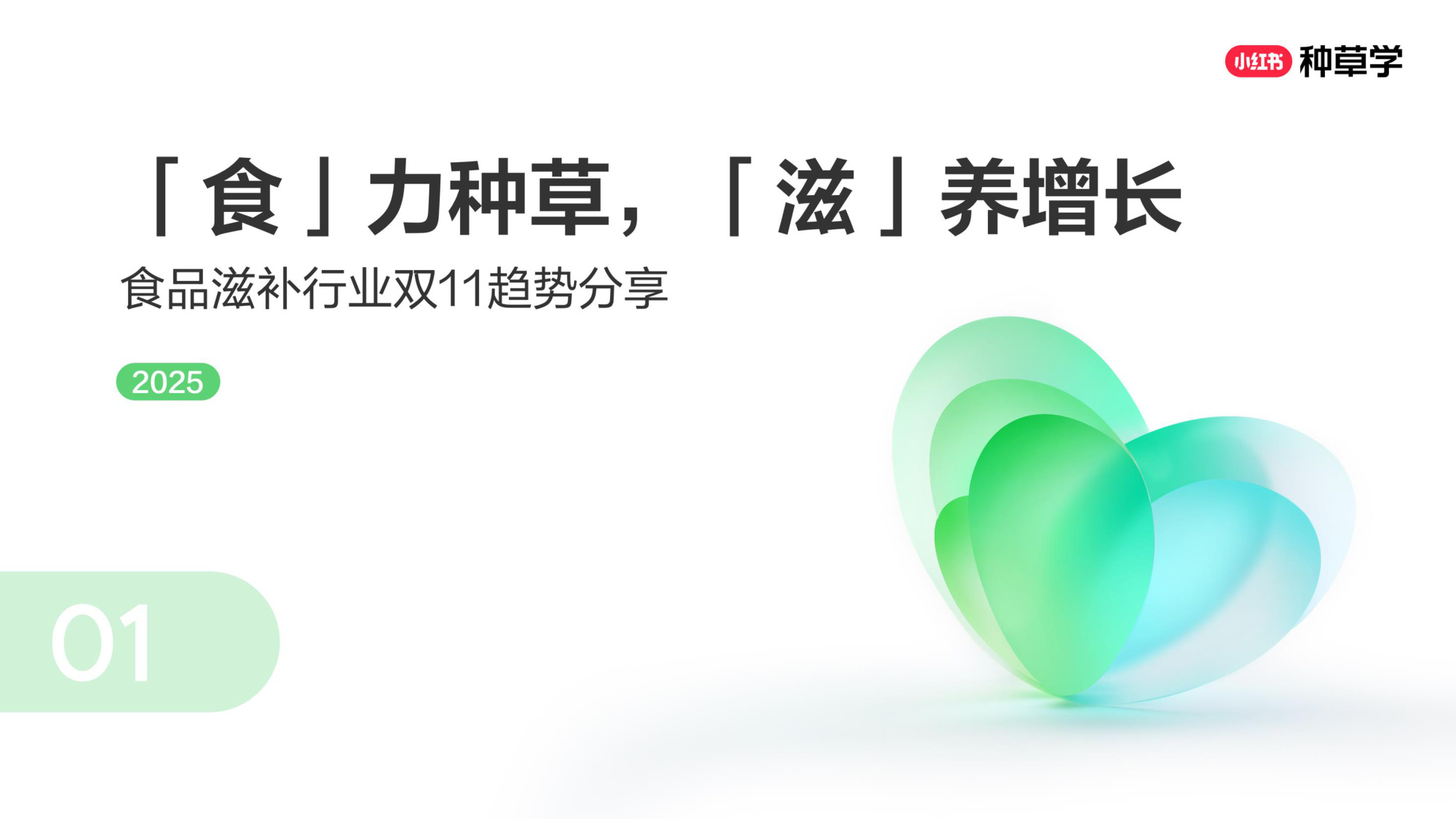 双11小红书「食品」赛道直播材料.pdf