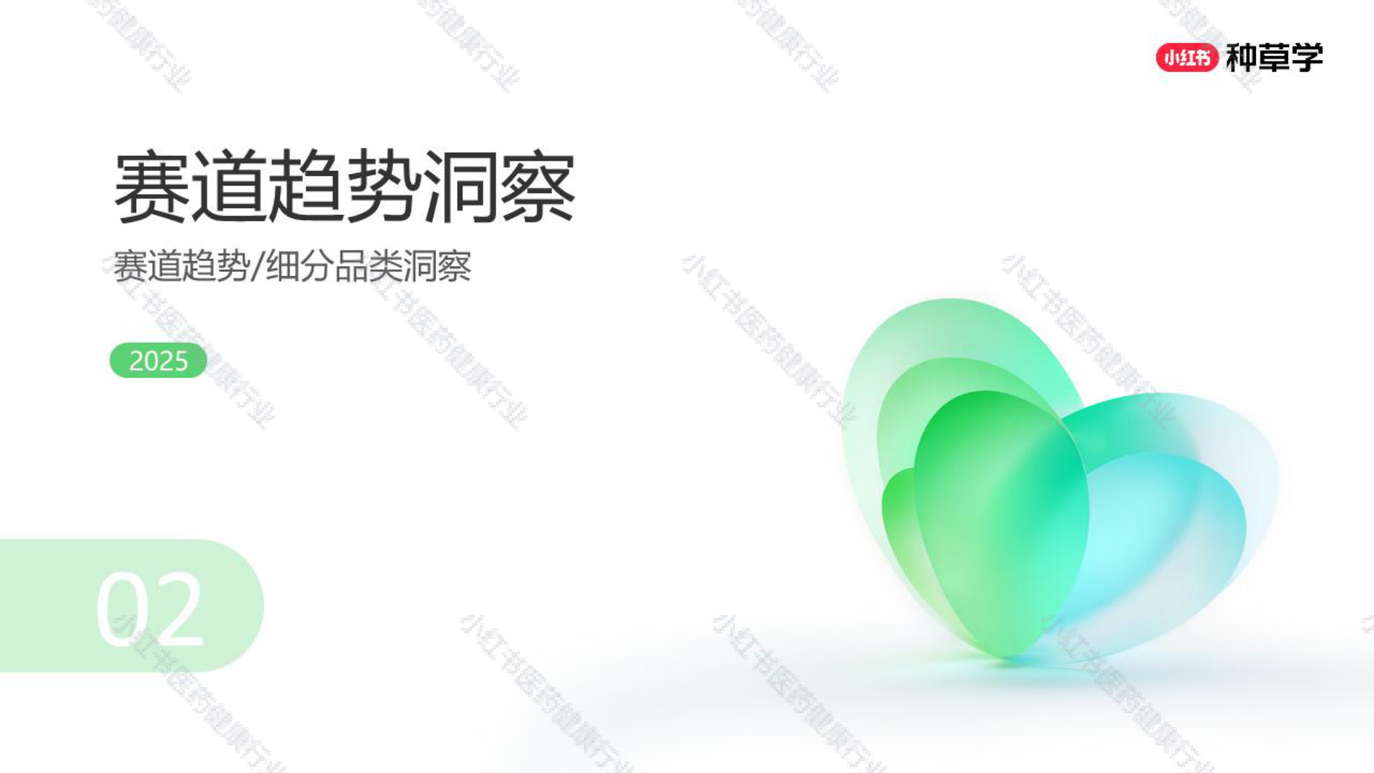 双11小红书「医药健康」赛道直播材料.pdf