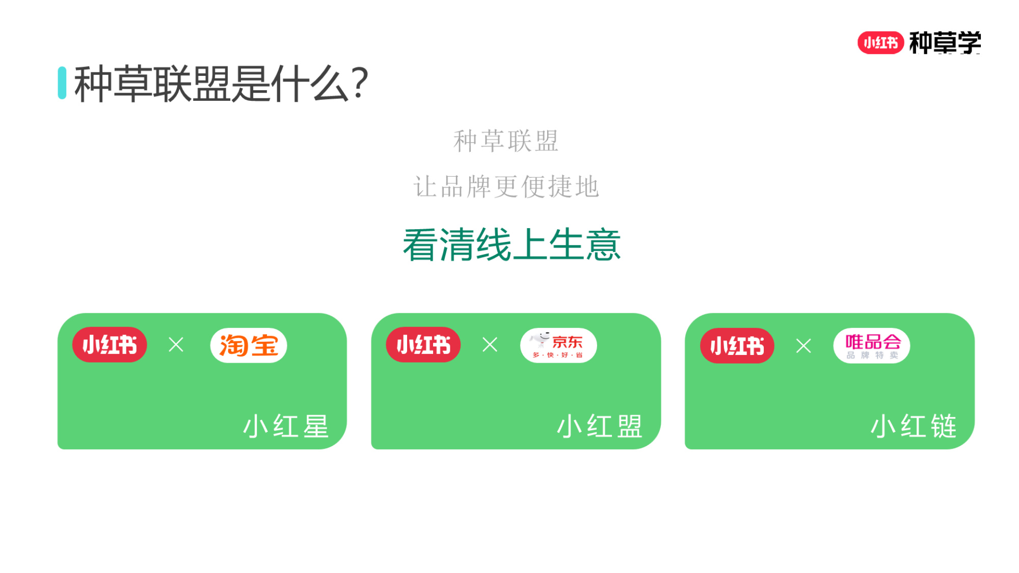 双11小红书「种草广告」直播材料.pdf