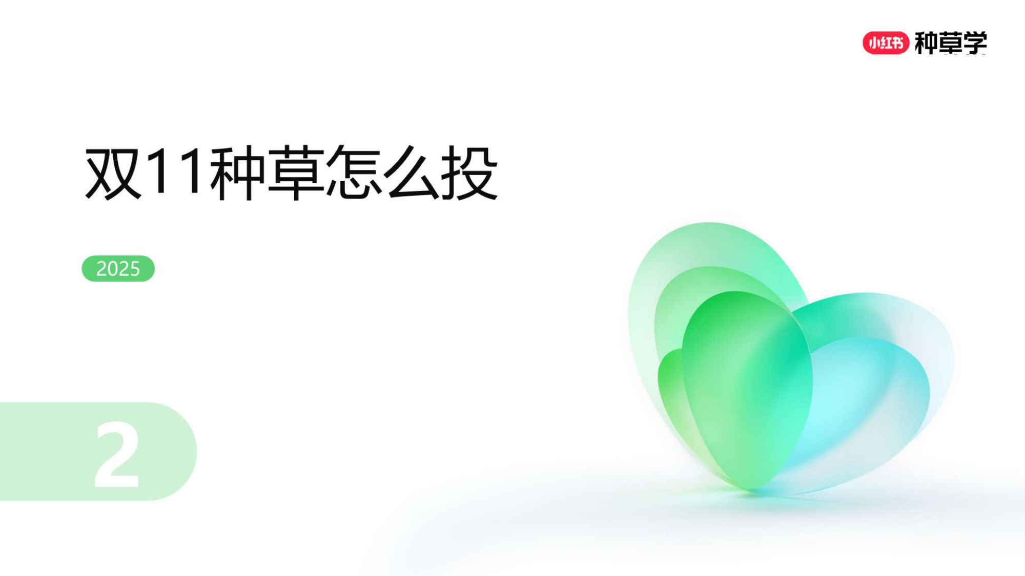 双11小红书「种草广告」直播材料.pdf