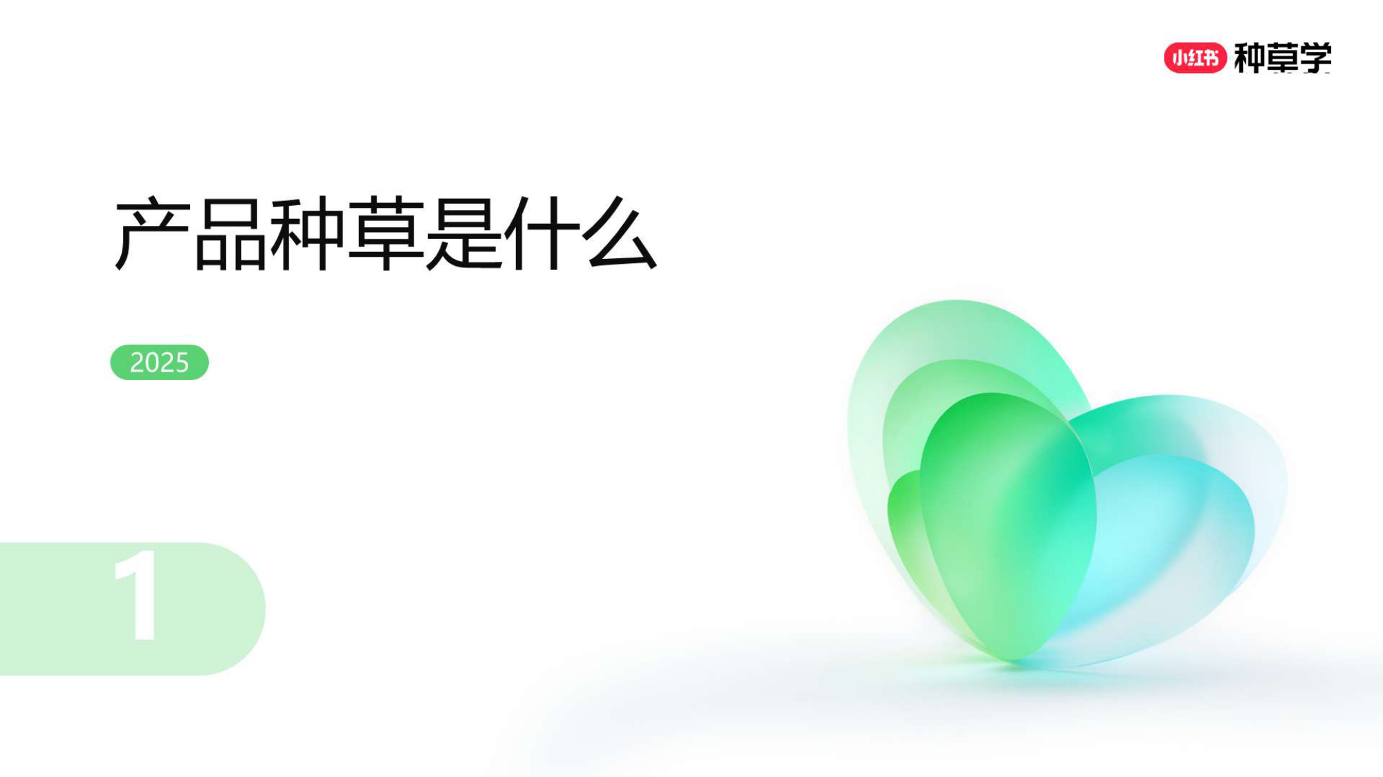 双11小红书「种草广告」直播材料.pdf