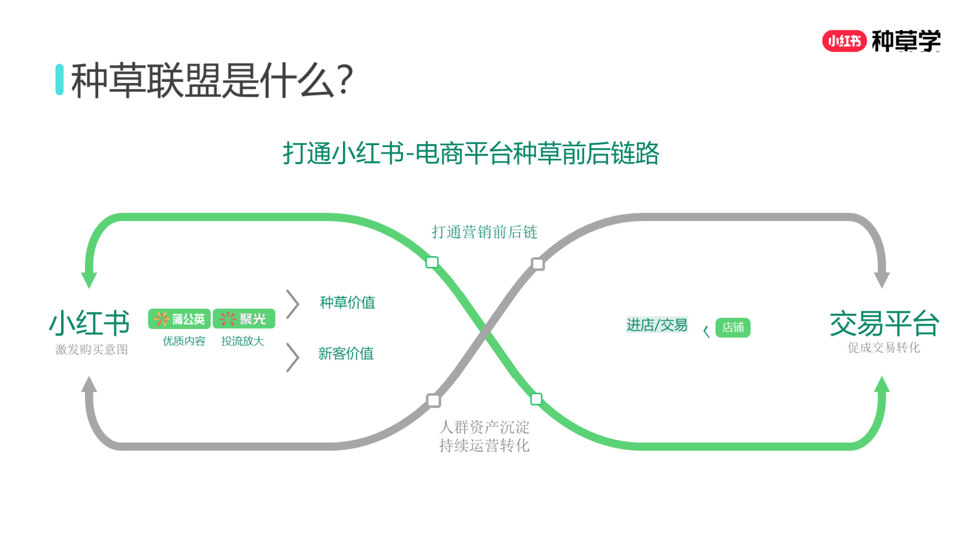 双11小红书「种草广告」直播材料.pdf