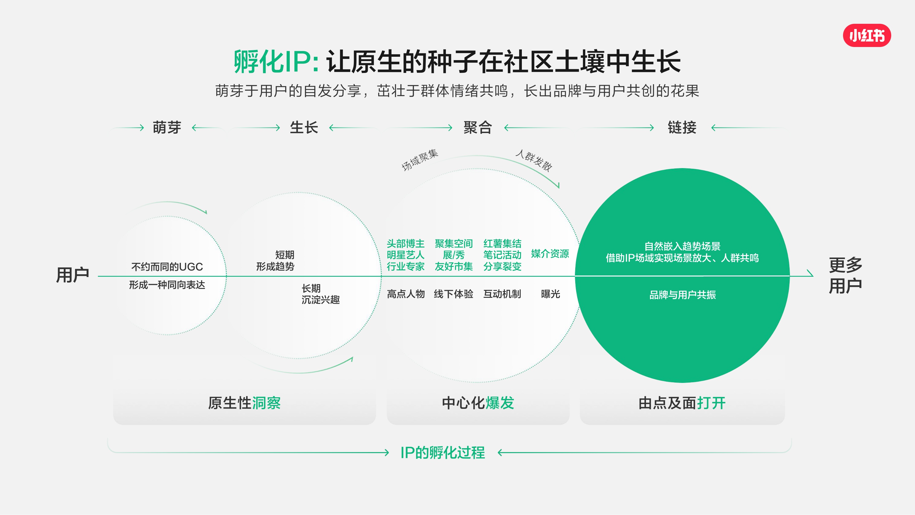 2026_小红书营销IP通案.pdf