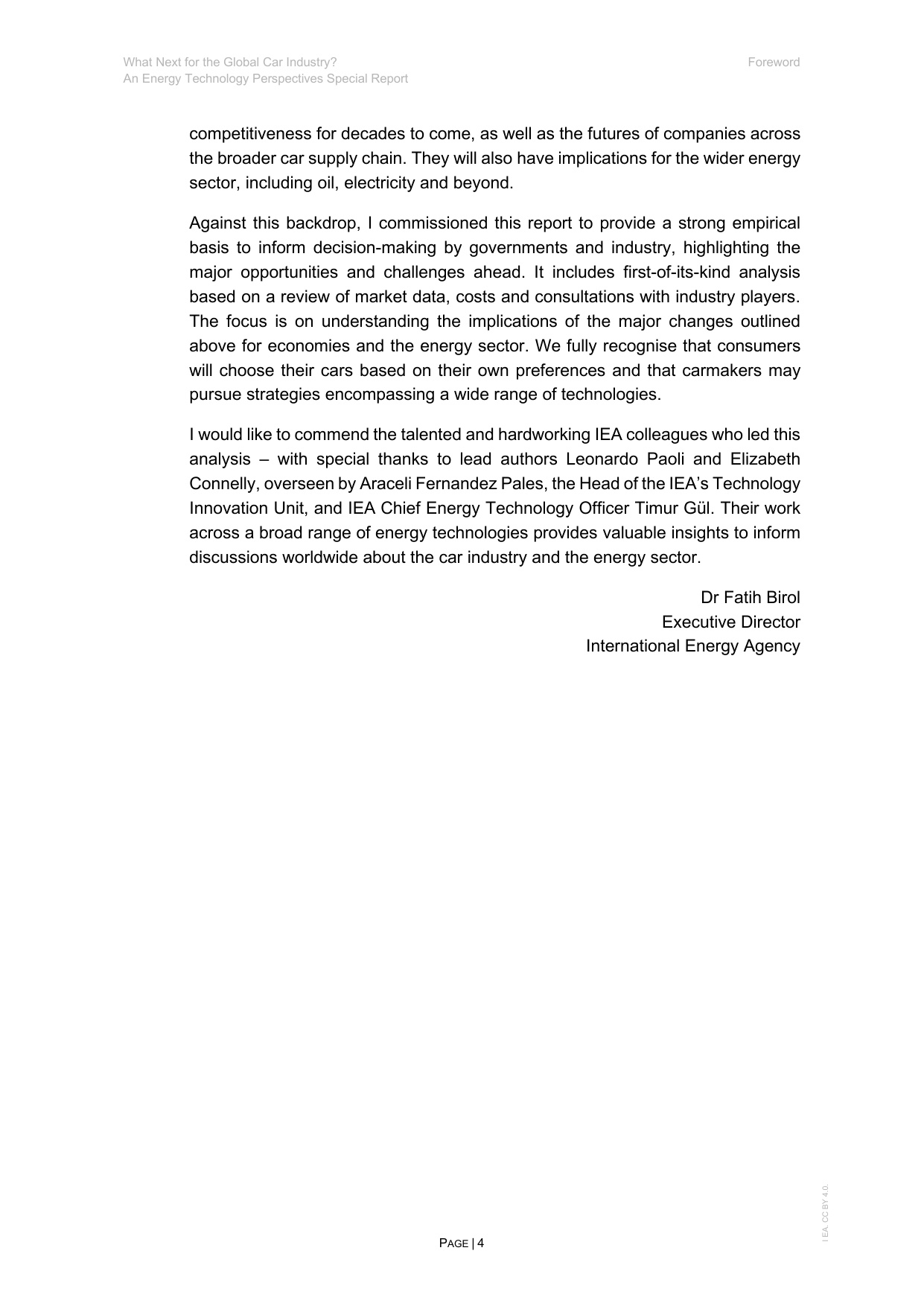 2025年全球汽车产业未来图景：能源技术展望特别报告（英文版）.pdf