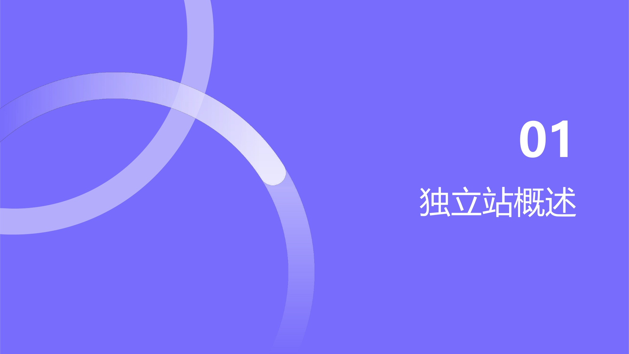 正南跨境-跨境快消独立站运营指南.pdf