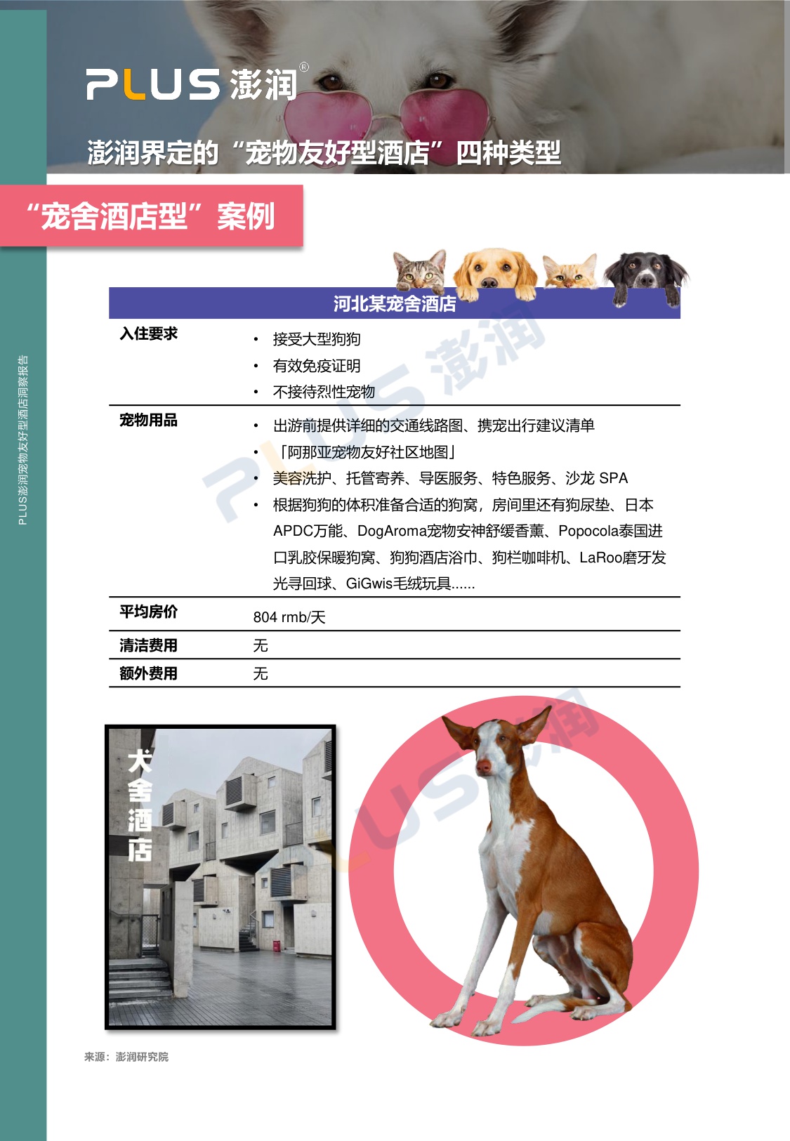 澎润研究院：2024年宠物友好型酒店市场洞察报告.pdf