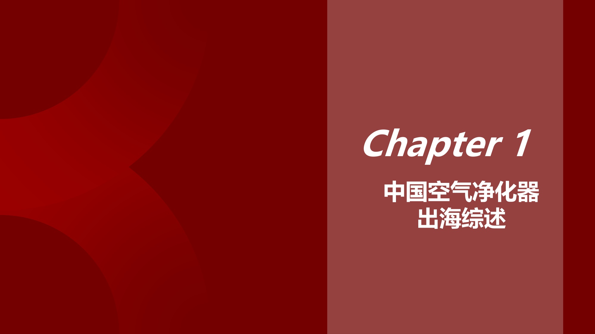 2024年中国空气净化器出海报告：呼吸之净，遍及世界.pdf