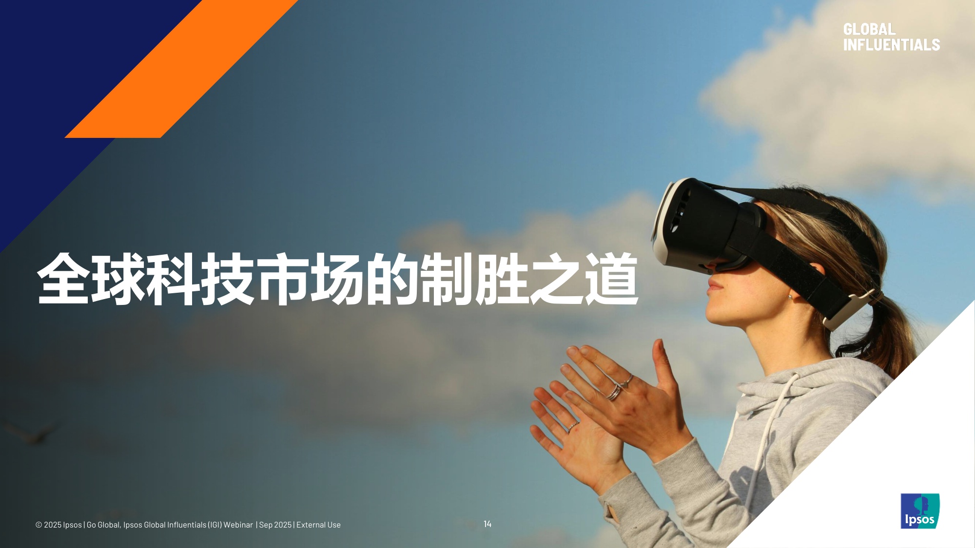 2025洞见全球高价值客群.pdf