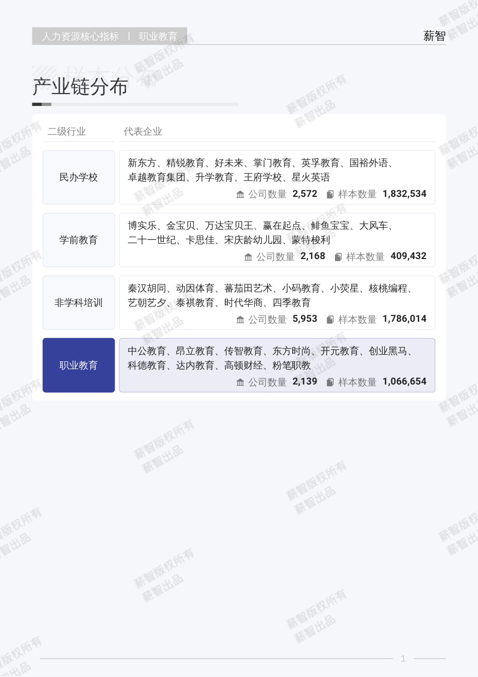 2025年职业教育行业白皮书-薪智.pdf