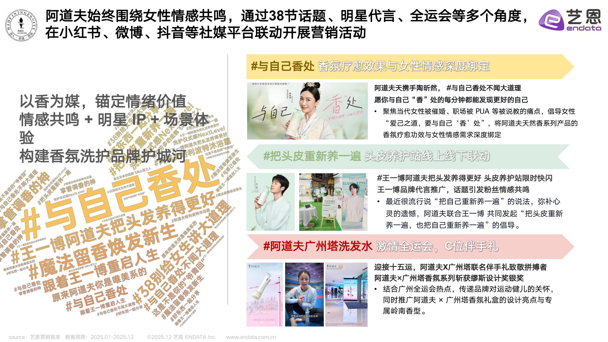 2025头发洗护品类社媒营销观察.pdf