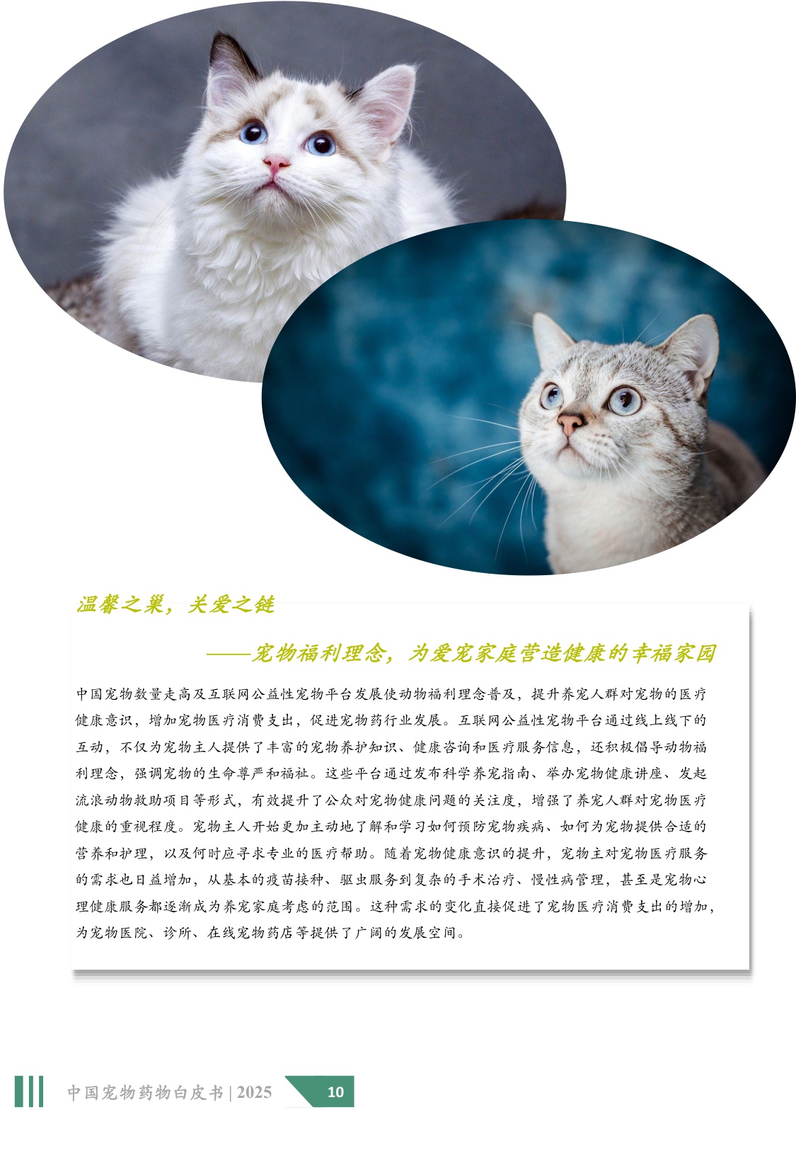 2025年中国宠物药物白皮书.pdf