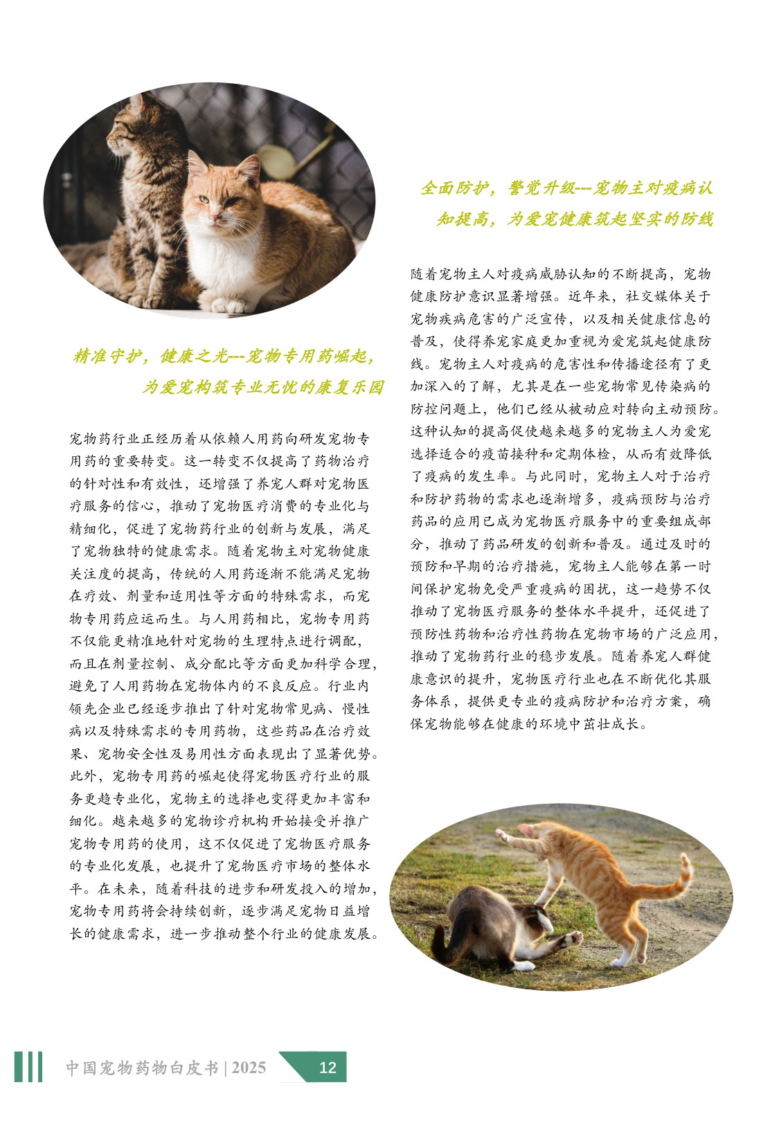 2025年中国宠物药物白皮书.pdf