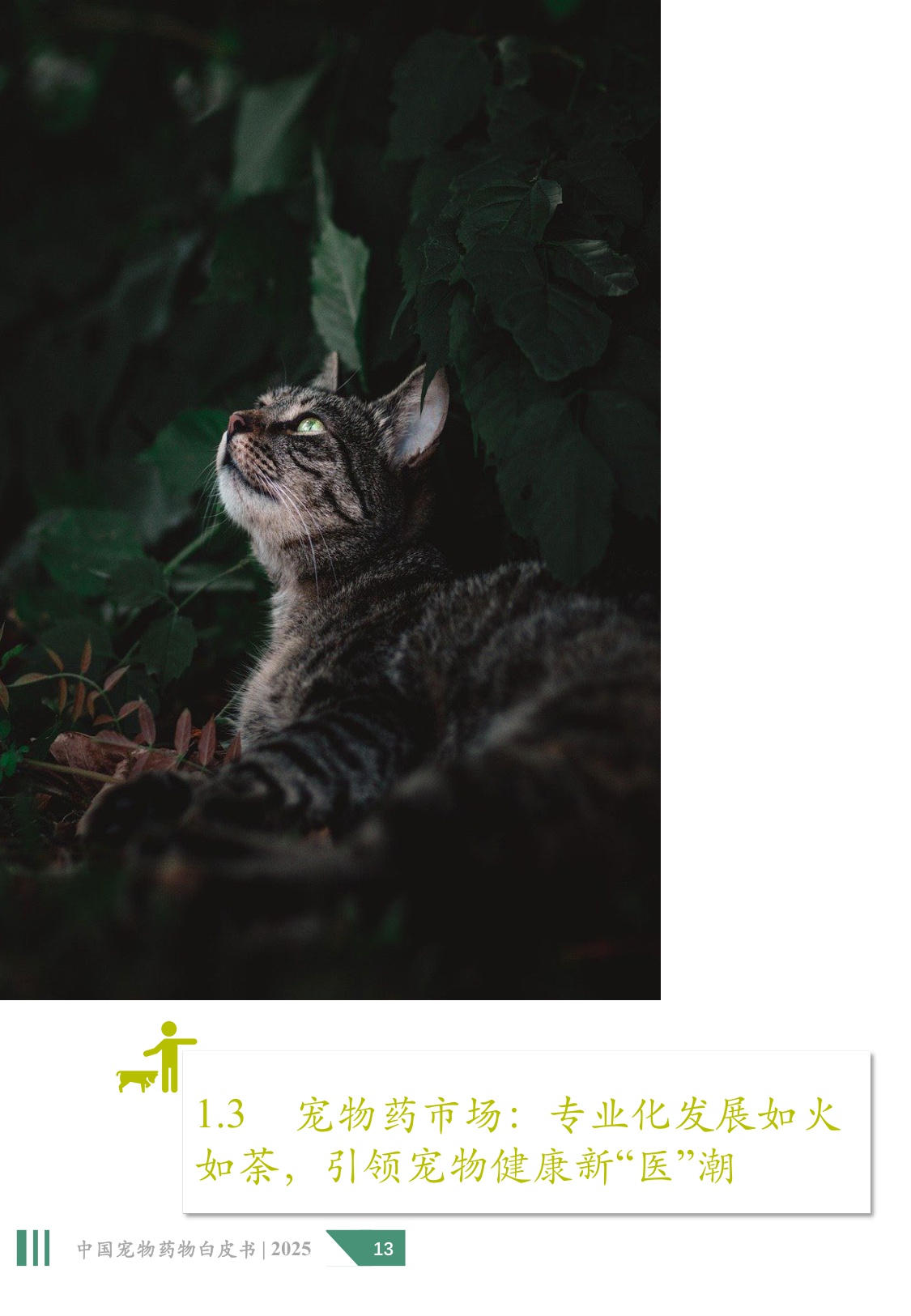 2025年中国宠物药物白皮书.pdf