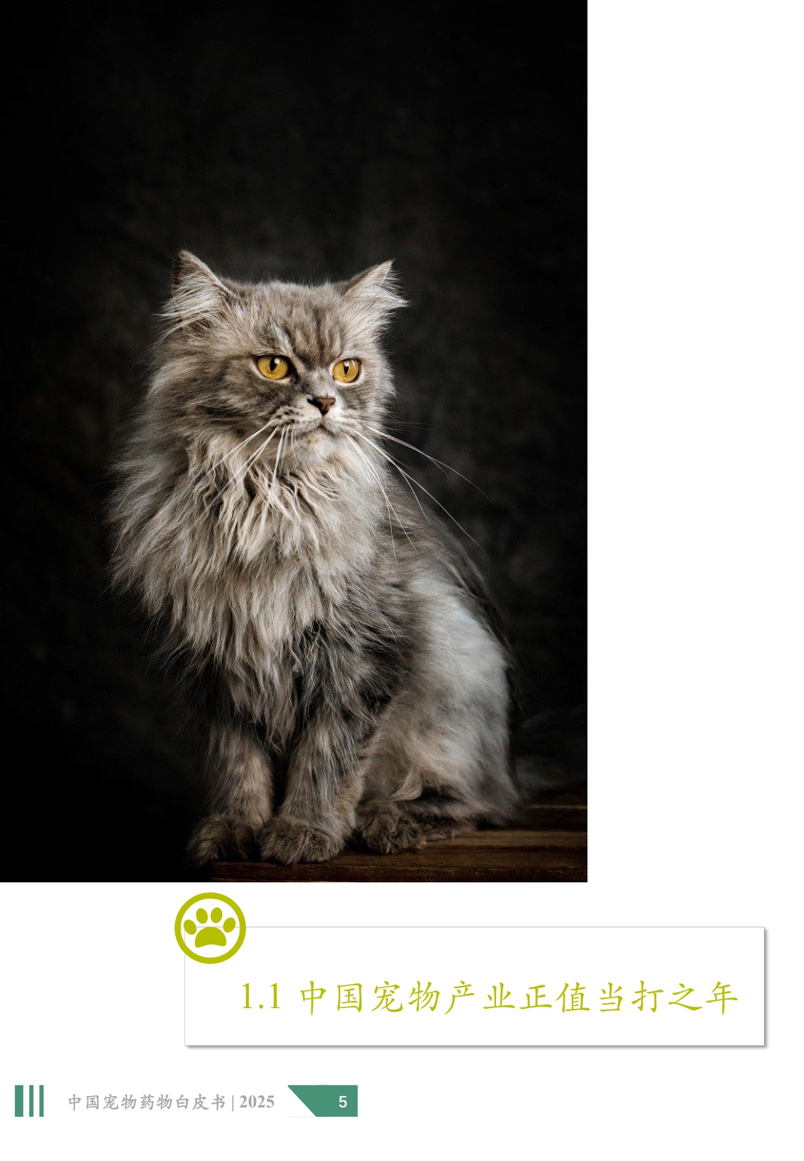 2025年中国宠物药物白皮书.pdf
