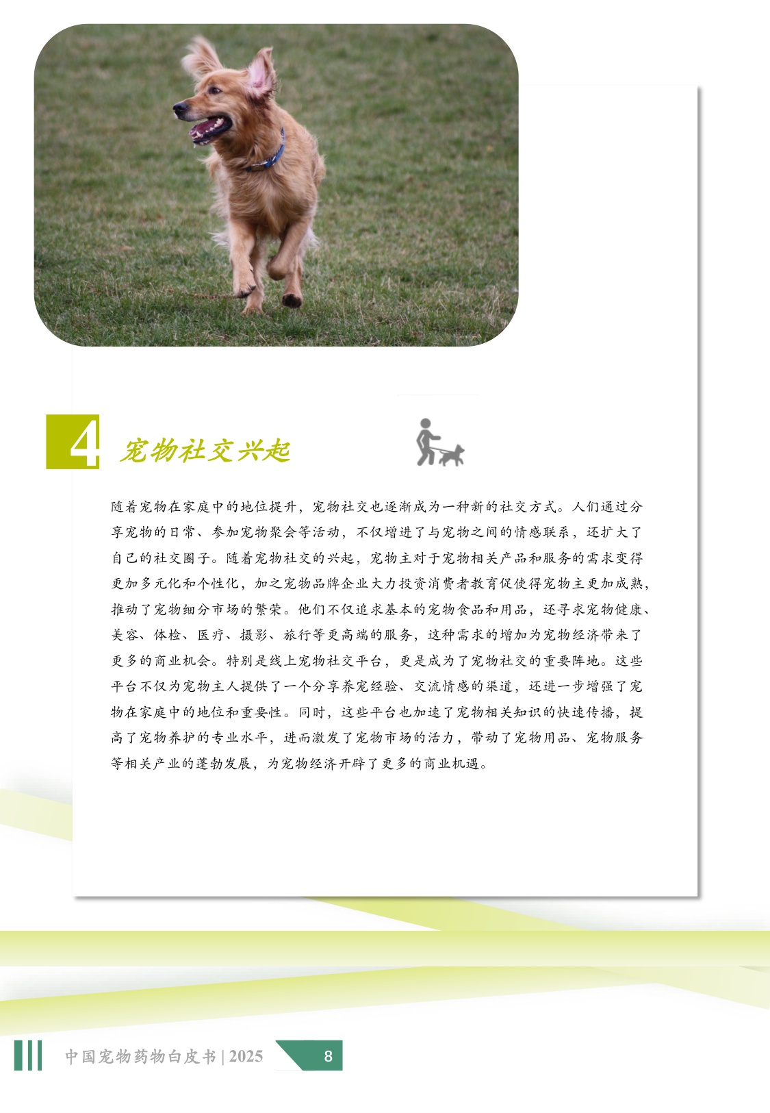 2025年中国宠物药物白皮书.pdf