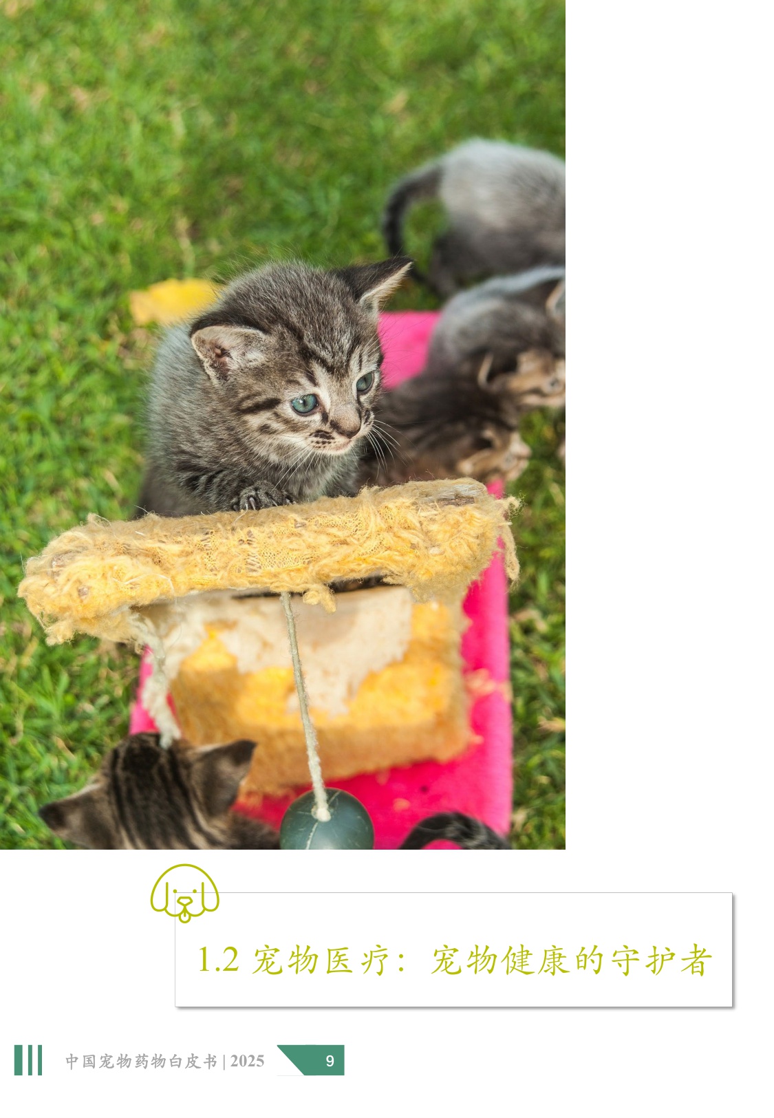 2025年中国宠物药物白皮书.pdf