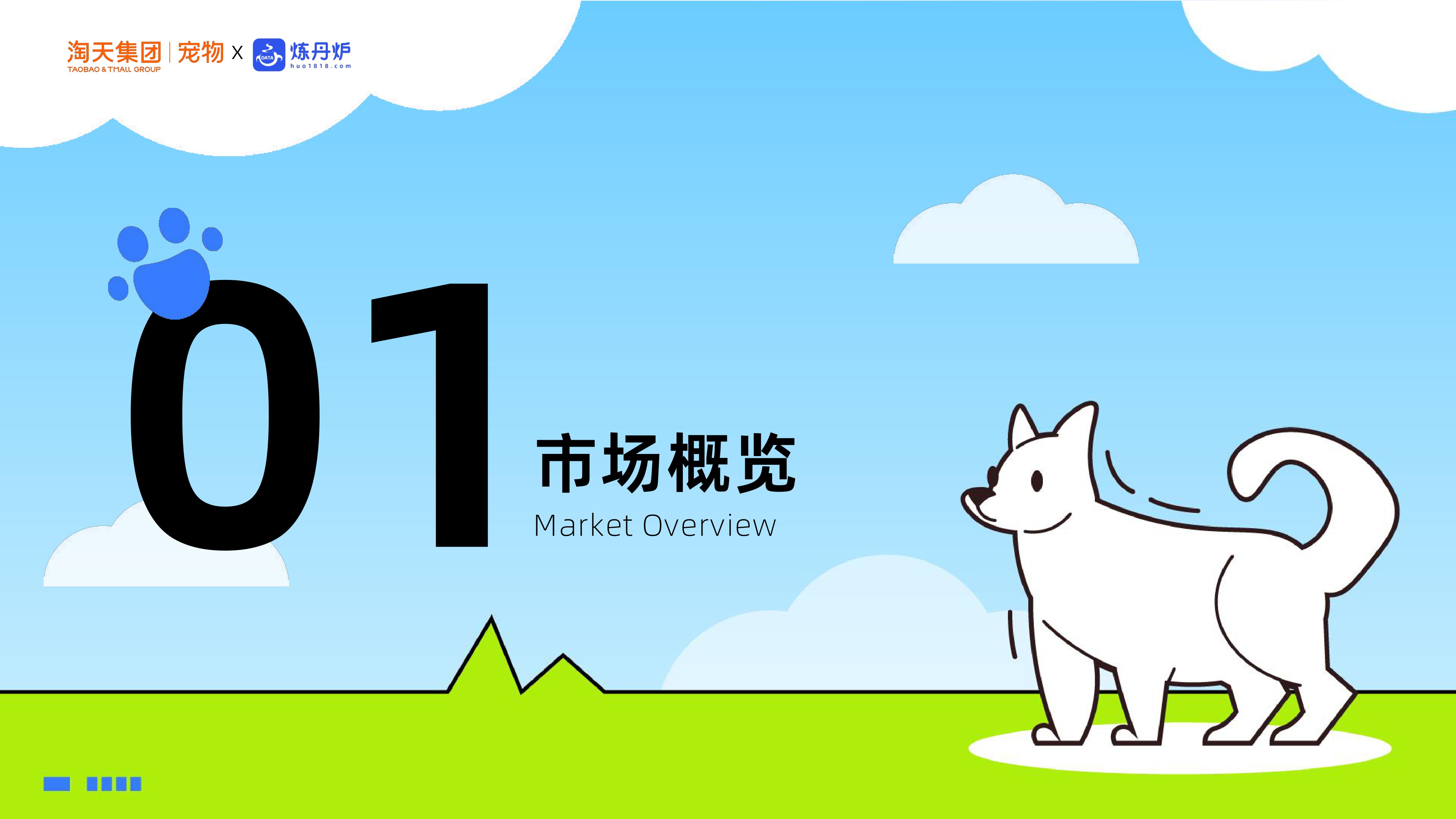 宠物行业新品趋势.pdf