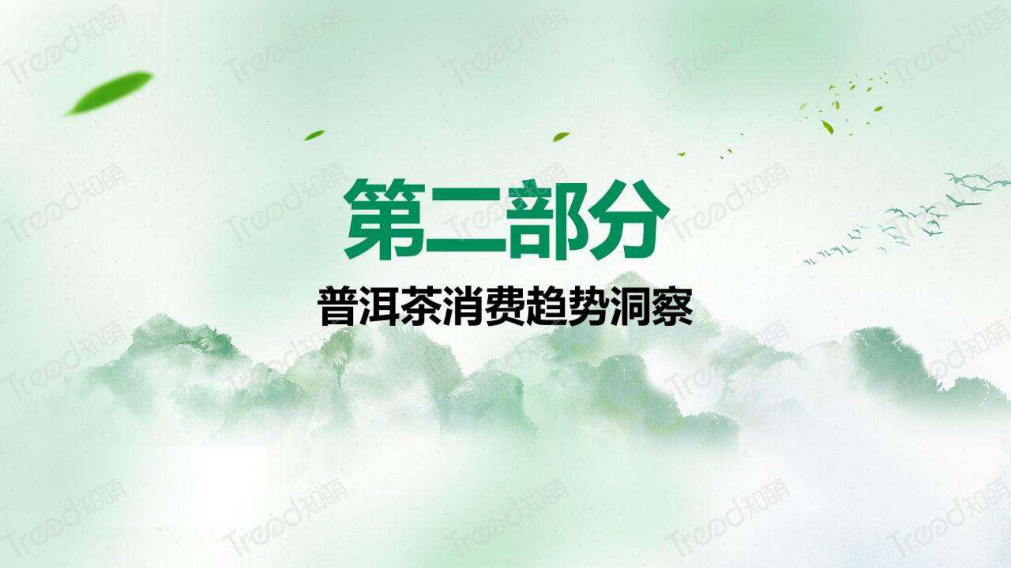 2023中国普洱茶消费趋势洞察报告-知萌-2023.06-34页.pdf