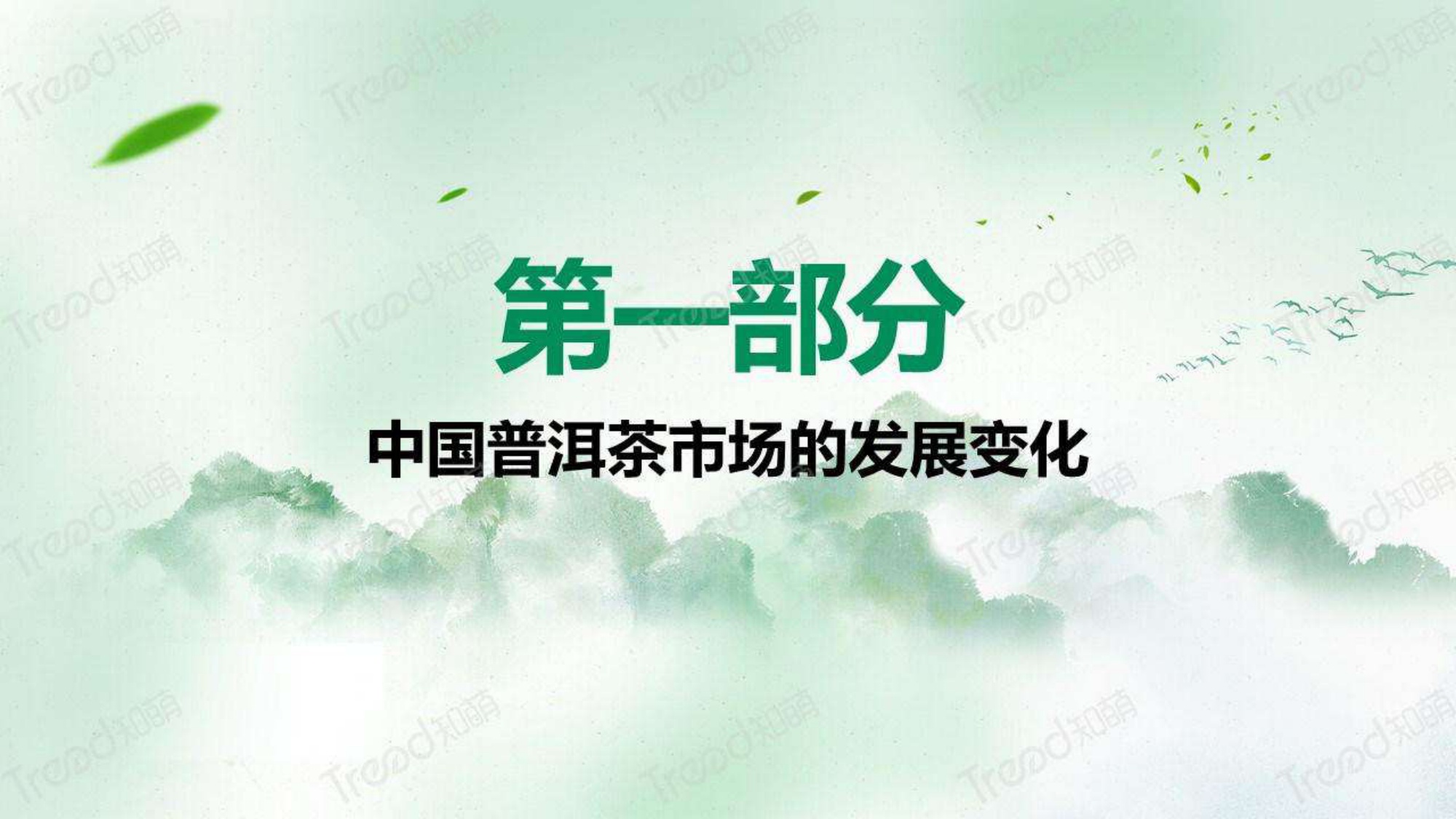 2023中国普洱茶消费趋势洞察报告-知萌-2023.06-34页.pdf
