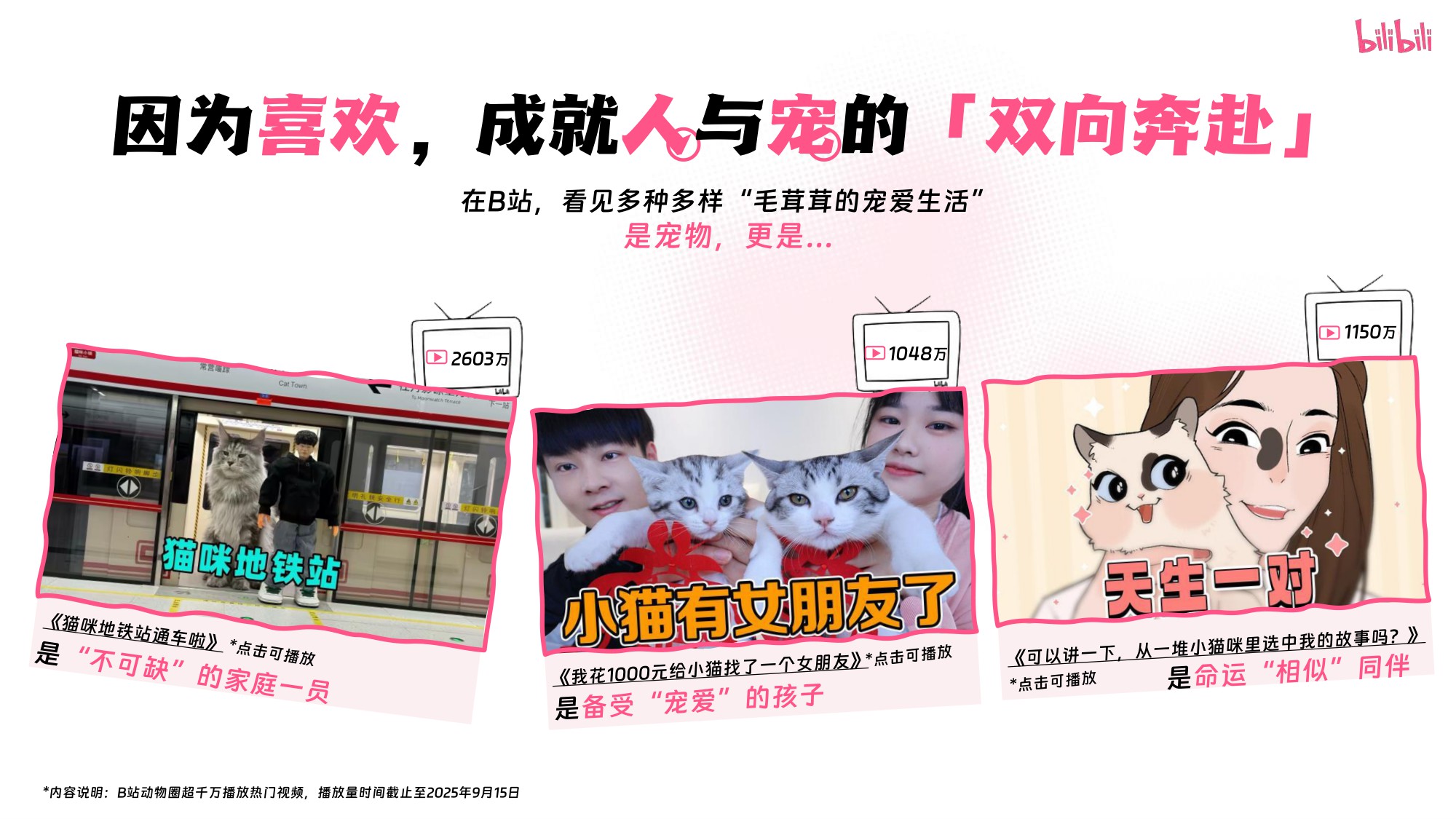 2025宠物行业营销方案B站生态洞察与人群分析.pdf