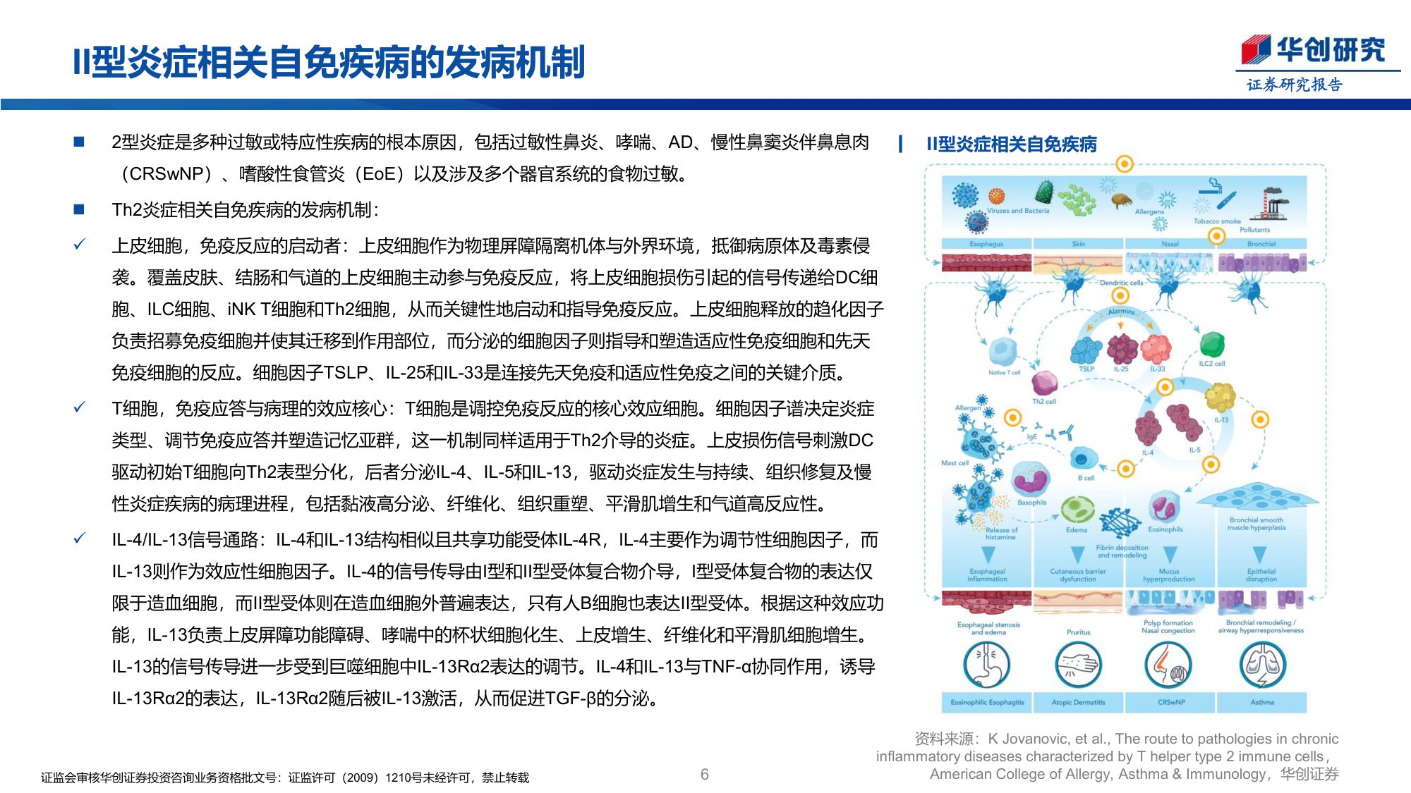 创新药行业周报强生IL4RIL31双抗治疗ADII期终止开发-25122827页.pdf