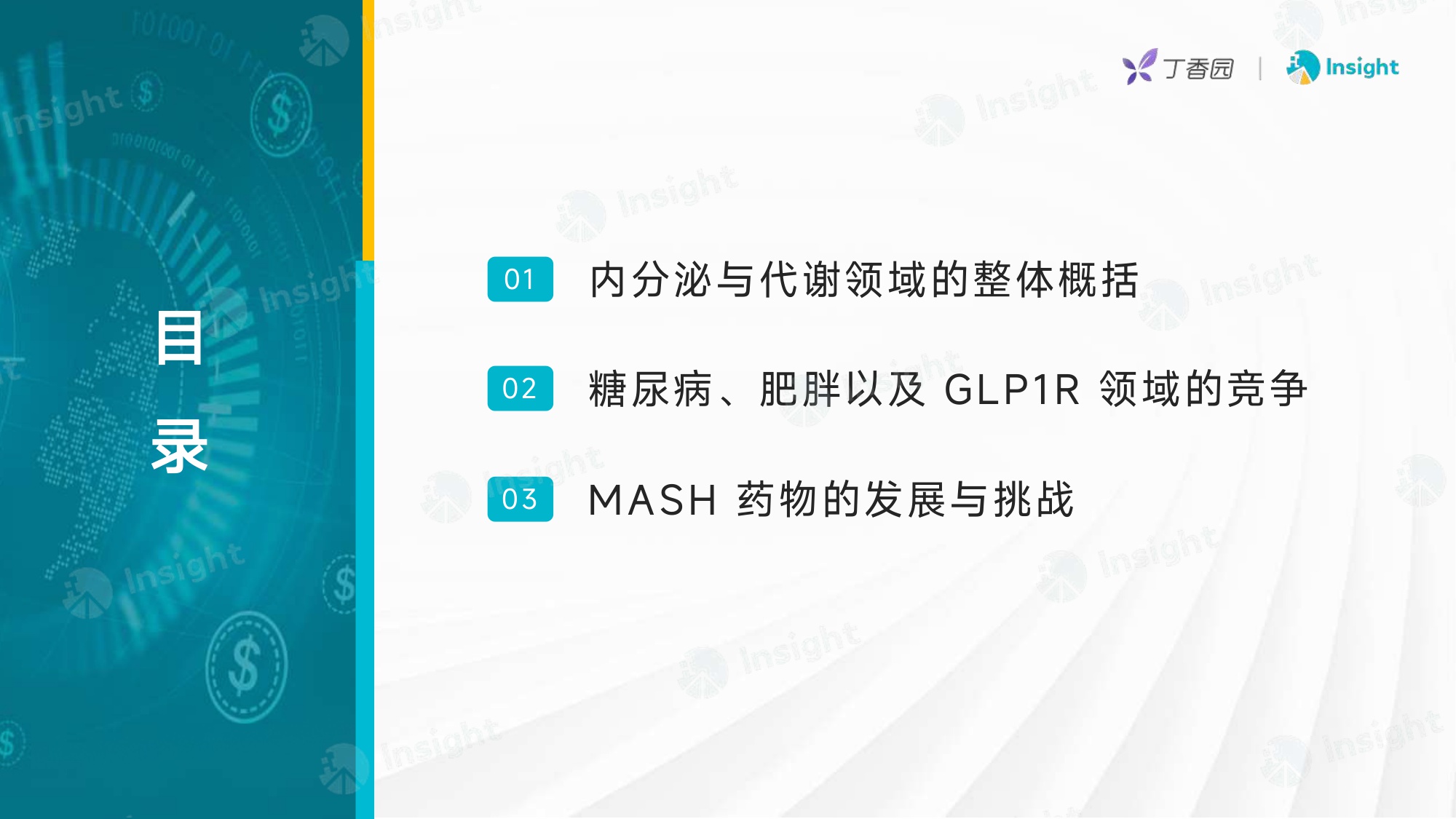 丁香园2025内分泌与代谢-千亿赛道的机会与竞速报告24页.pdf