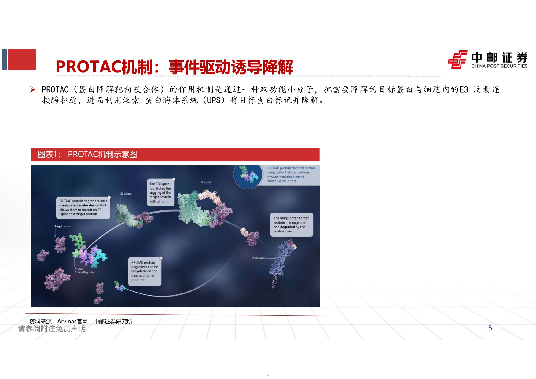 中邮证券-自免行业报告二PROTAC实现0-1突破看好自免口服破局潜力.pdf