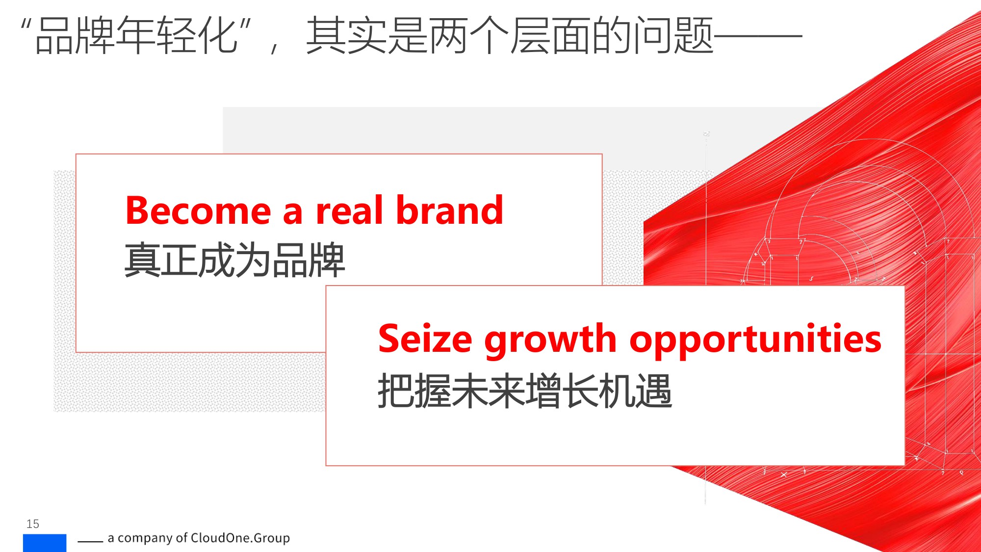 讴霭咨询：“我时代”——品牌年轻化致胜战略.pdf