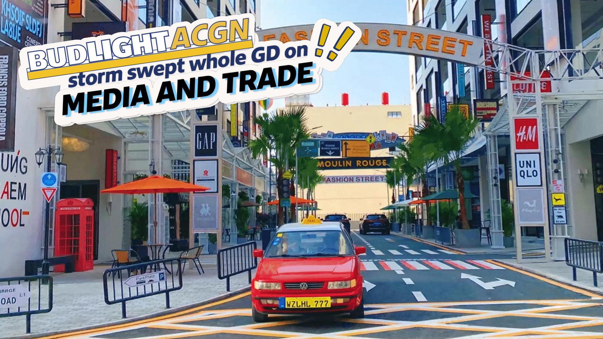 啤酒品牌BudLight Show Case【啤酒饮品】【年轻化营销】.pdf