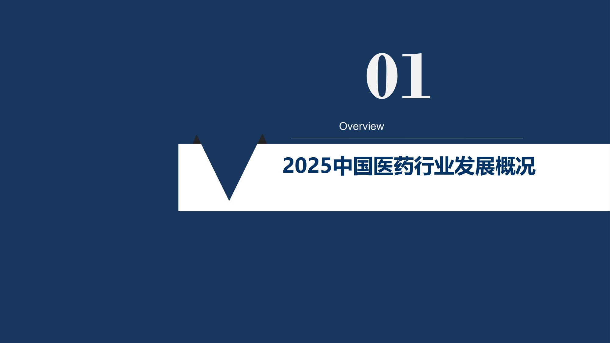 中国医药行业2025回顾及2026展望-E药经理人研究院-20260212.pdf