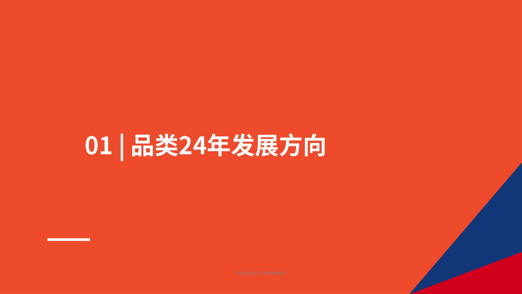 2025 车载设备品类专题-Shopee.pdf