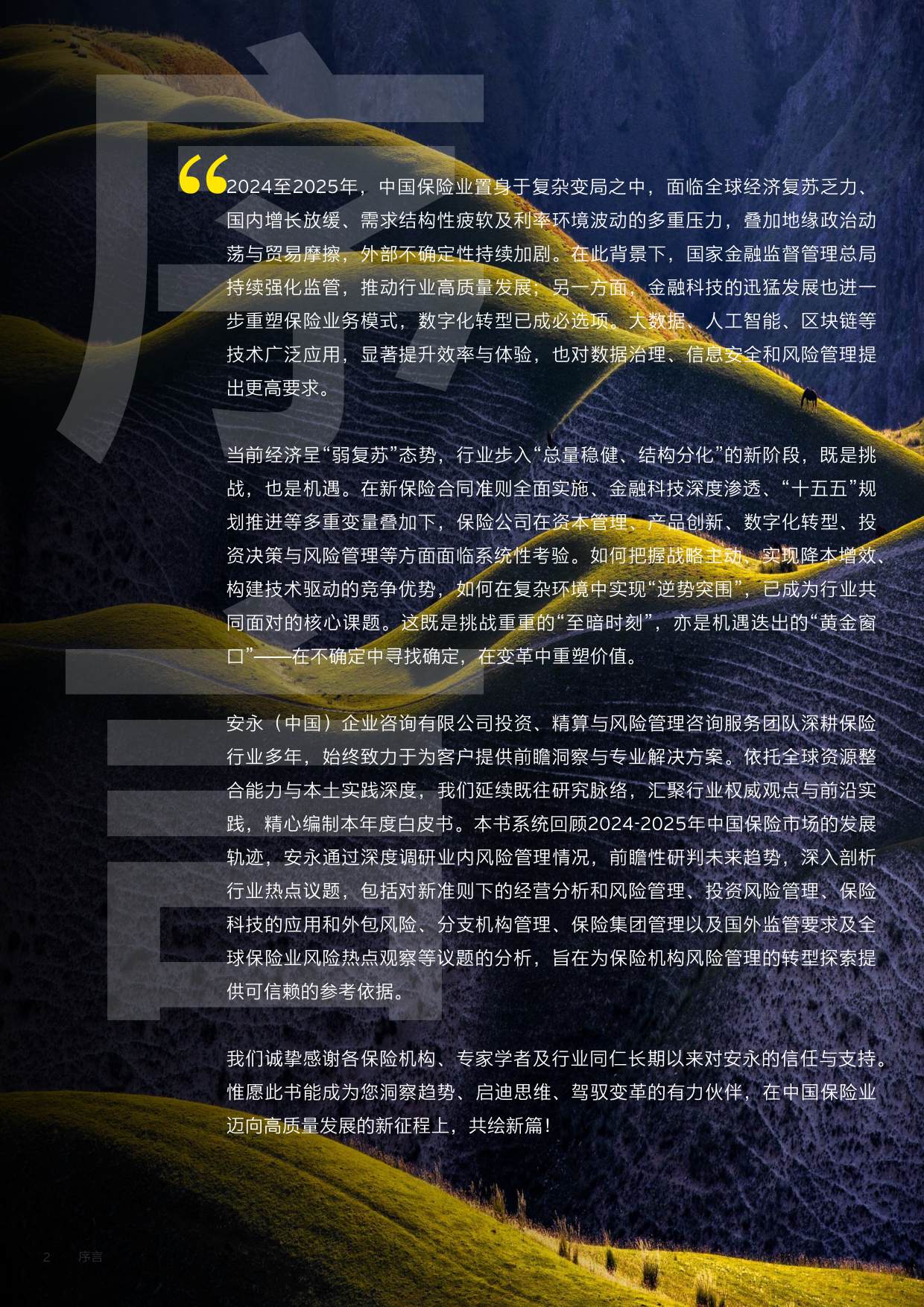 2024-2025保险业风险管理白皮书.pdf