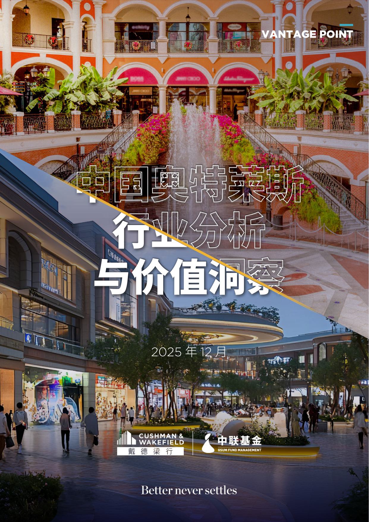 2025年中国奥特莱斯行业分析与价值洞察.pdf