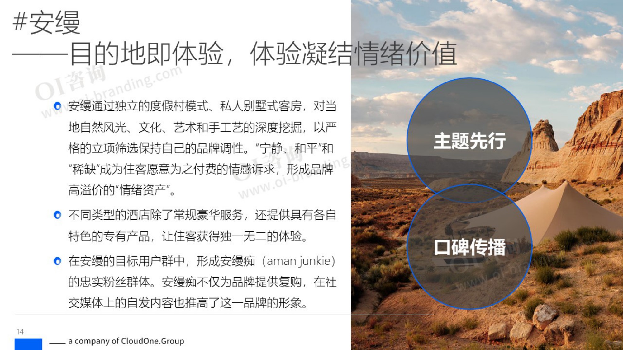 2025情绪价值的商业实践与发展趋势洞察报告.pdf