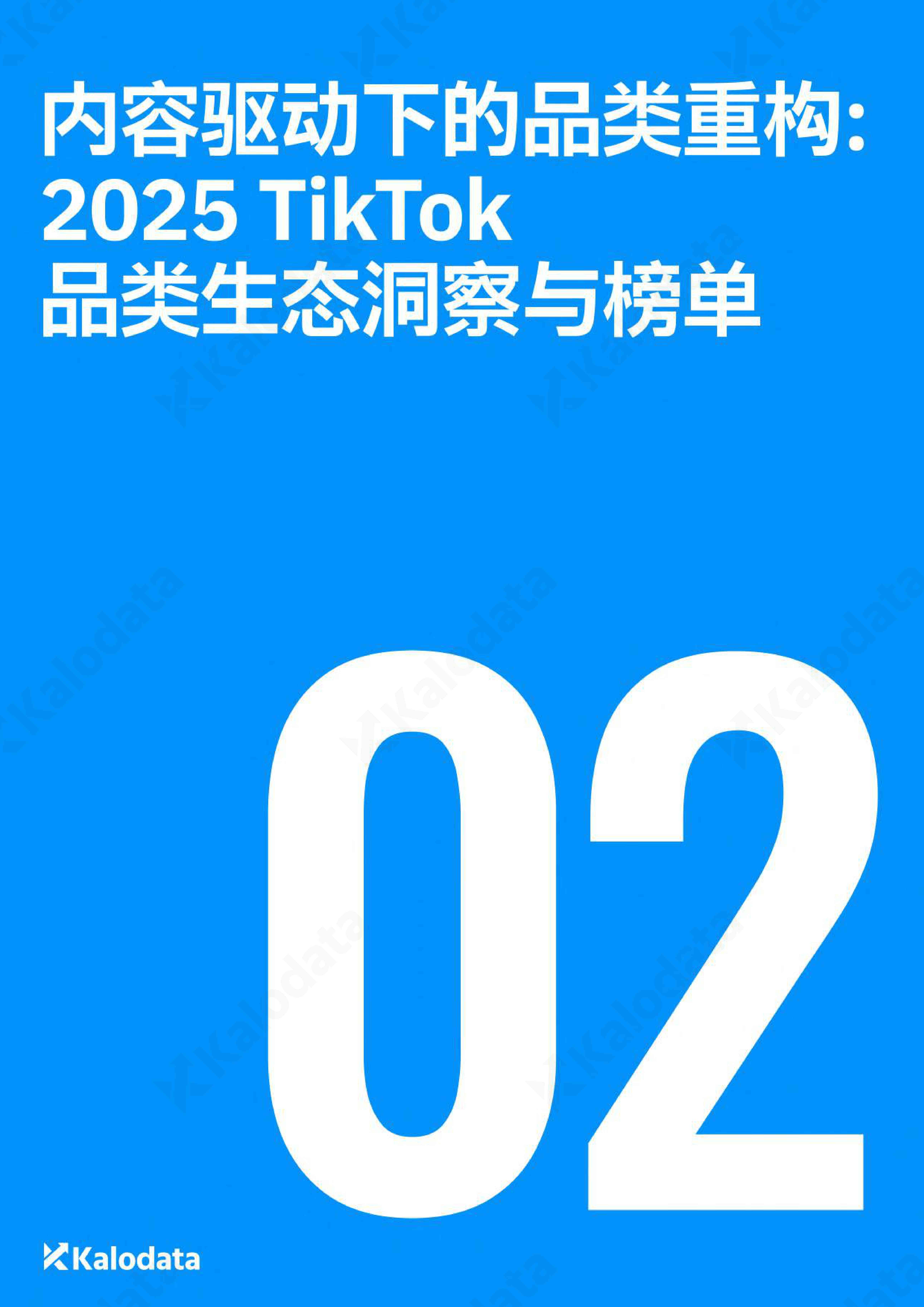 2026年TikTok电商白皮书.pdf