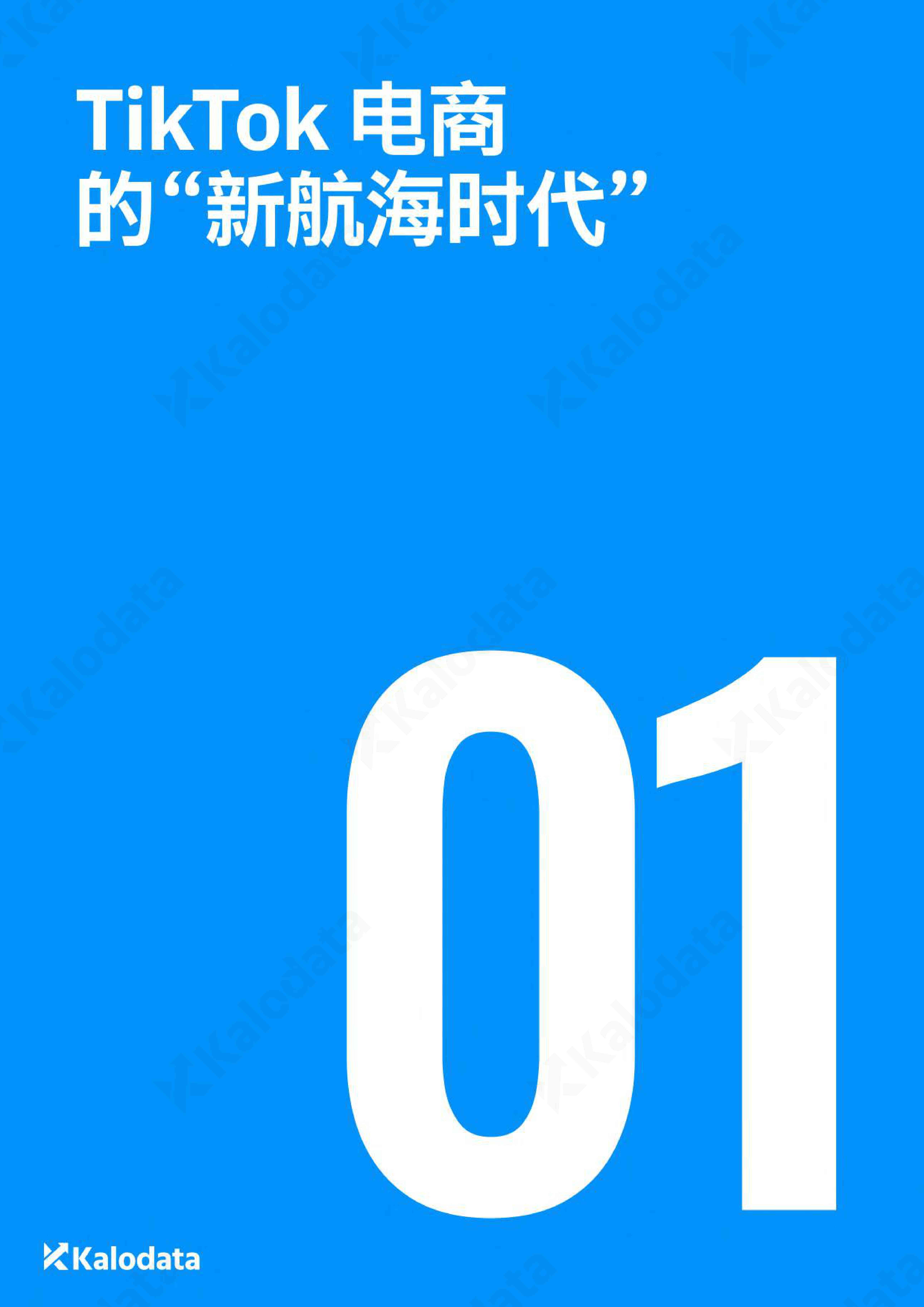2026年TikTok电商白皮书.pdf