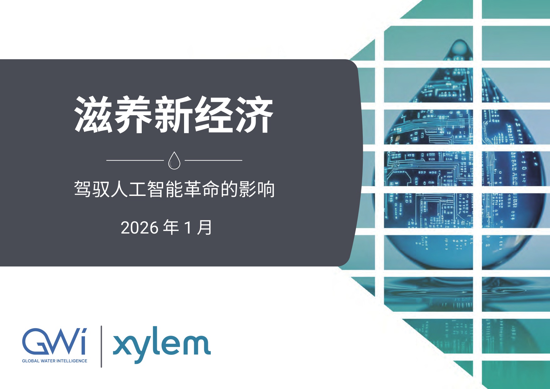 2026人工智能行业滋养新经济：驾驭人工智能革命的影响-28页PPT.pdf