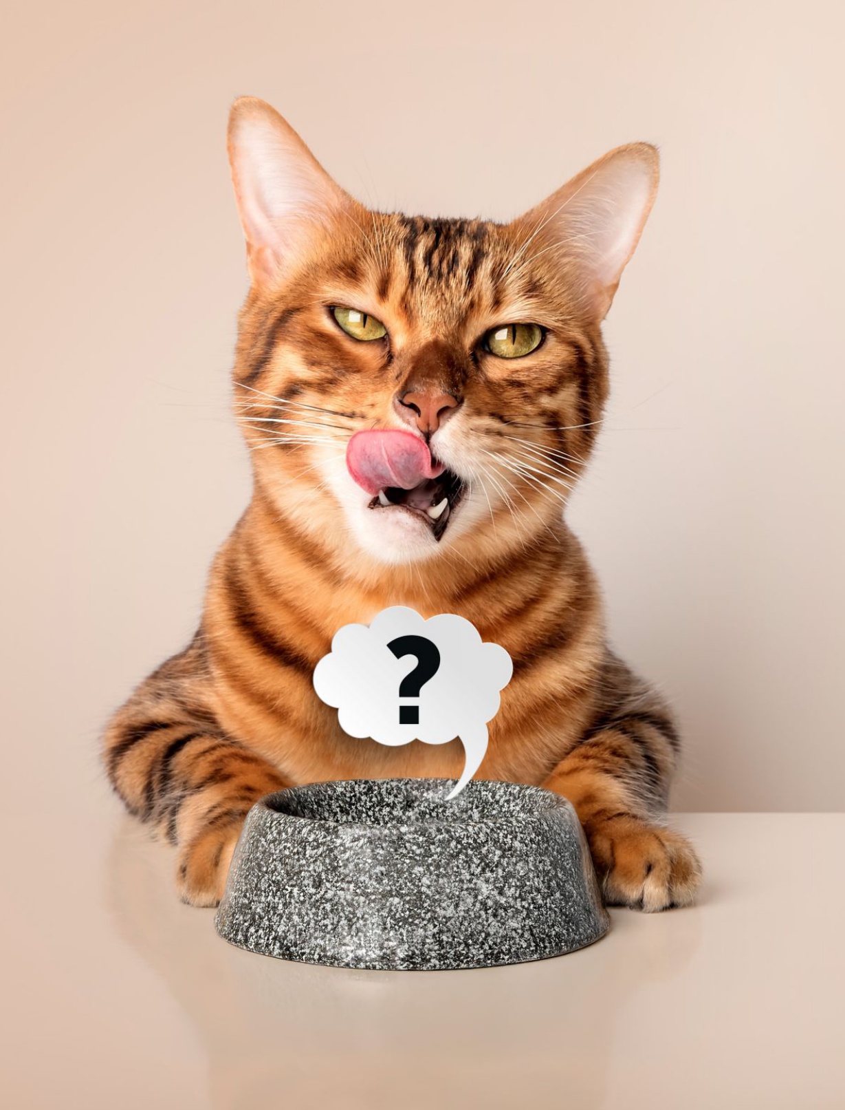 GlobalPETS：2025年全球宠物行业洞察报告（11月刊）（英文版）.pdf