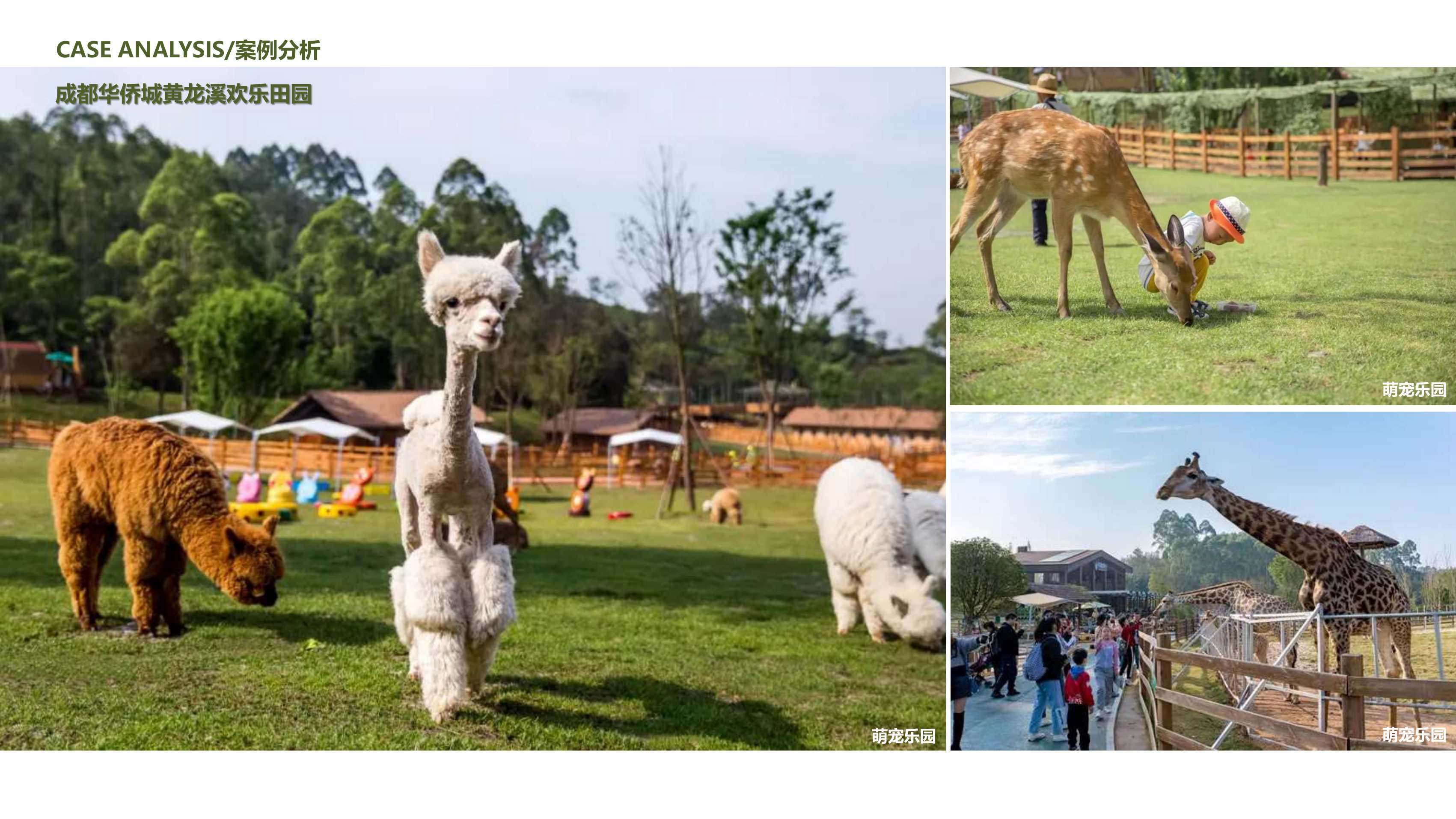 农场亲子露营规划方案【文旅】【亲子】【项目规划】.pdf