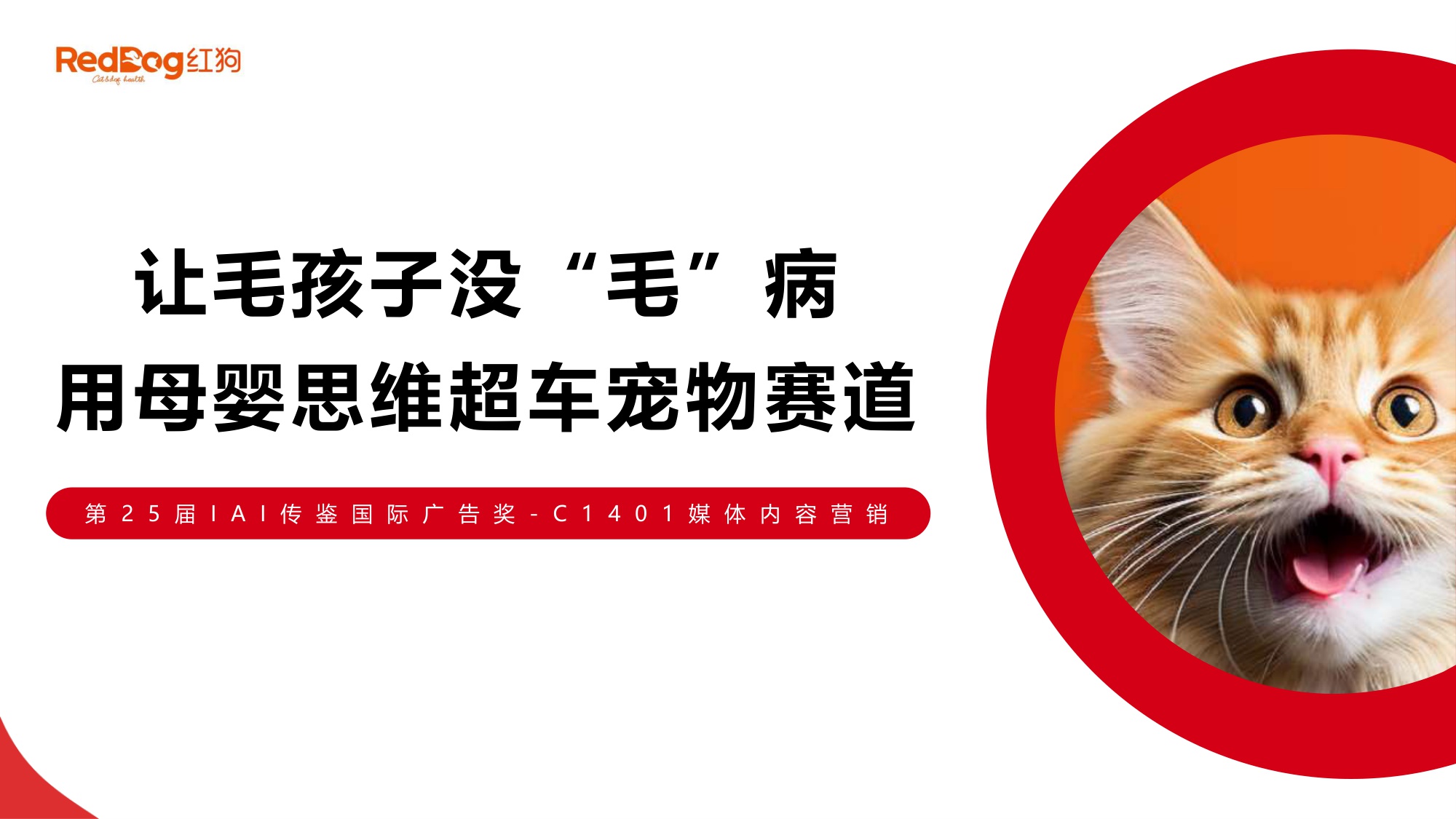 让毛孩子没“毛”病用母婴思维超车宠物赛道【宠物】【创意营销】.pdf