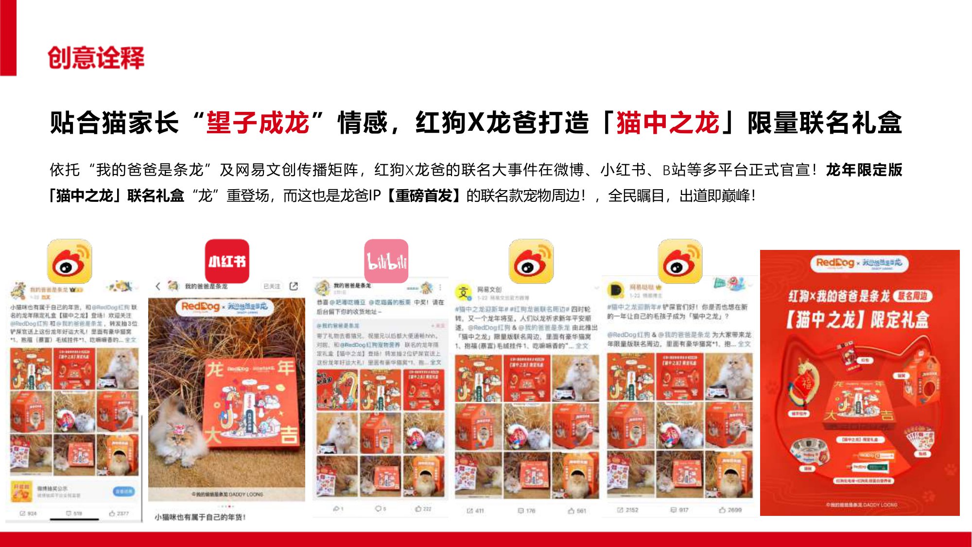 让毛孩子没“毛”病用母婴思维超车宠物赛道【宠物】【创意营销】.pdf