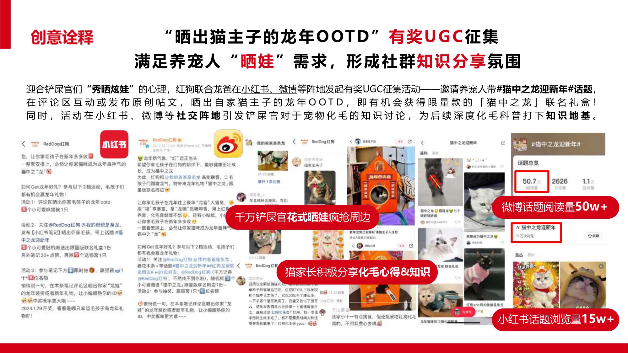 让毛孩子没“毛”病用母婴思维超车宠物赛道【宠物】【创意营销】.pdf