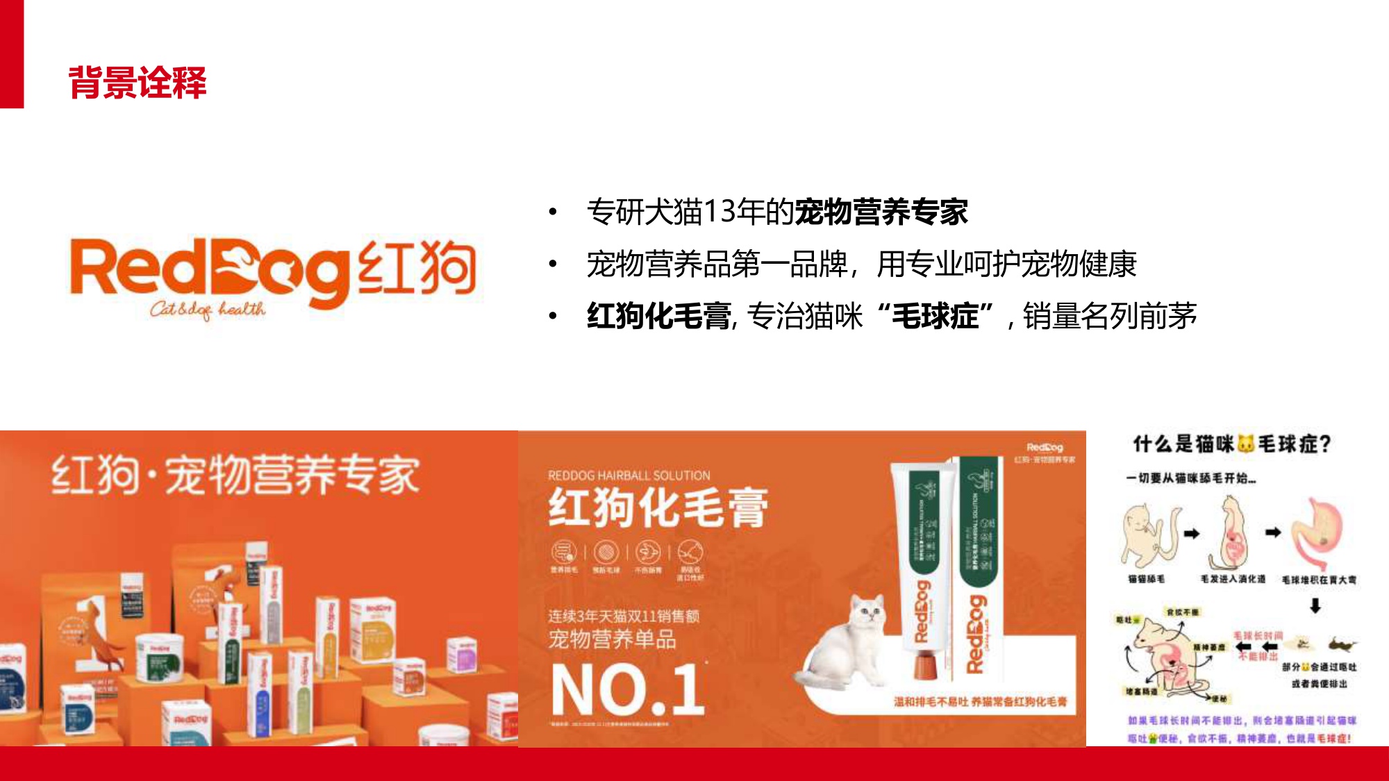 让毛孩子没“毛”病用母婴思维超车宠物赛道【宠物】【创意营销】.pdf