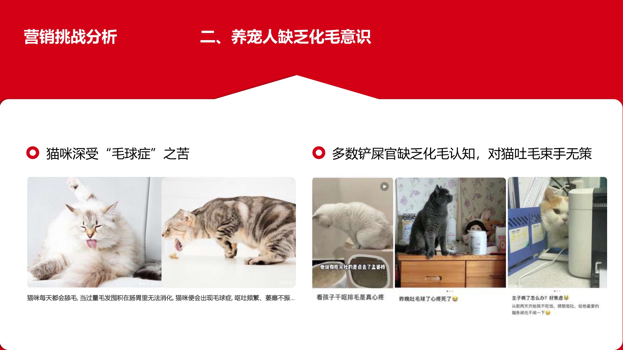 让毛孩子没“毛”病用母婴思维超车宠物赛道【宠物】【创意营销】.pdf