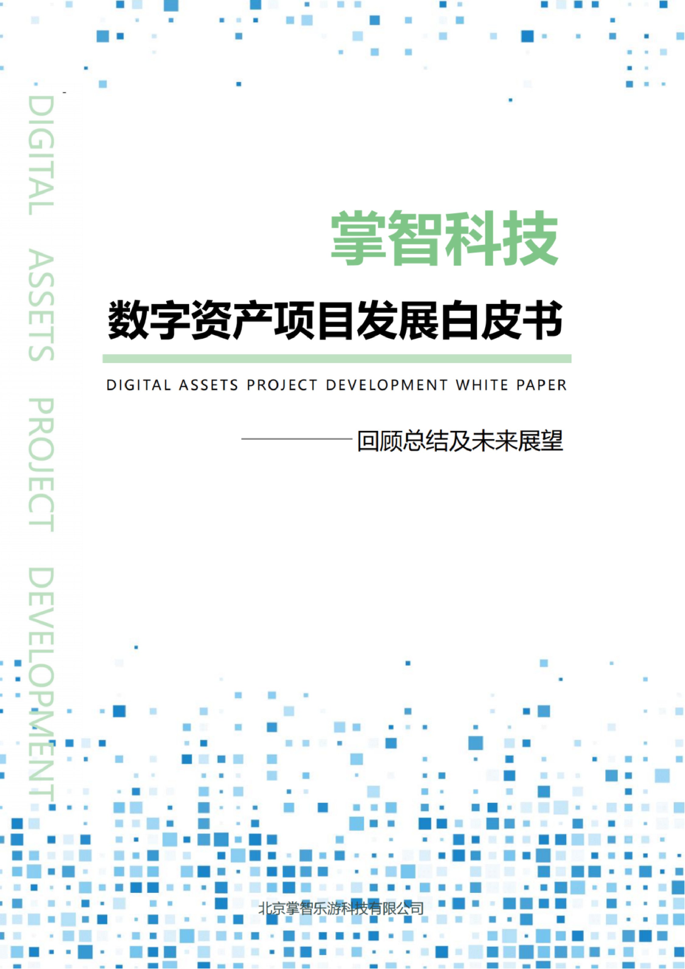 2024年数字资产项目发展白皮书——回顾总结及未来展望.pdf