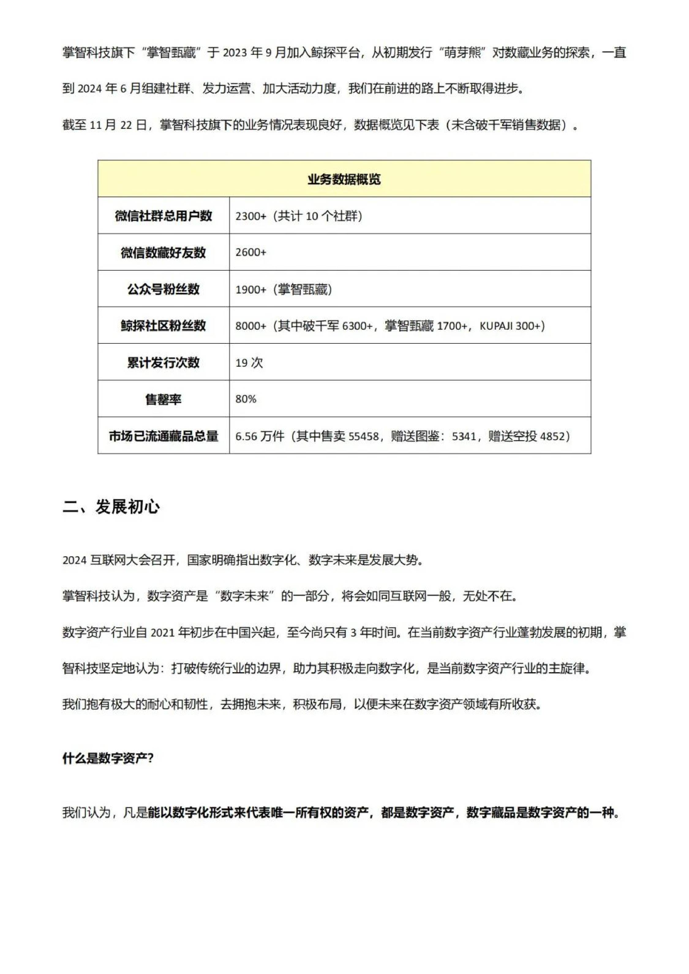 2024年数字资产项目发展白皮书——回顾总结及未来展望.pdf